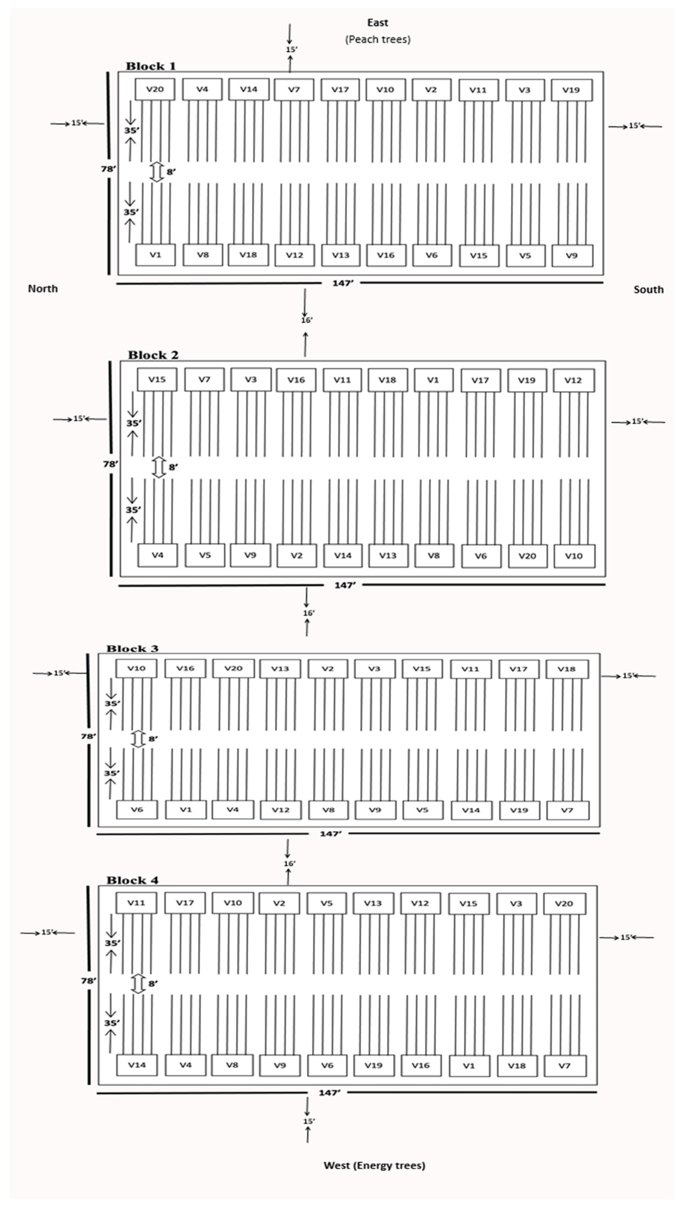 Agronomy 15 01411 g001