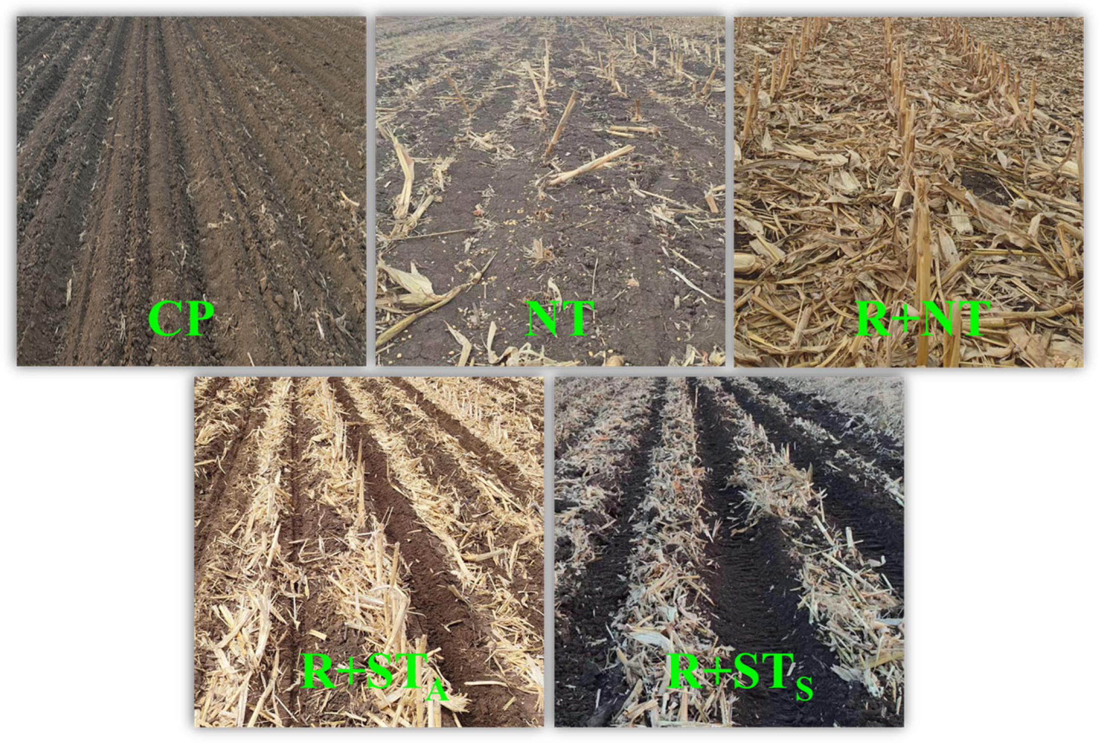 Agronomy 15 01415 g003
