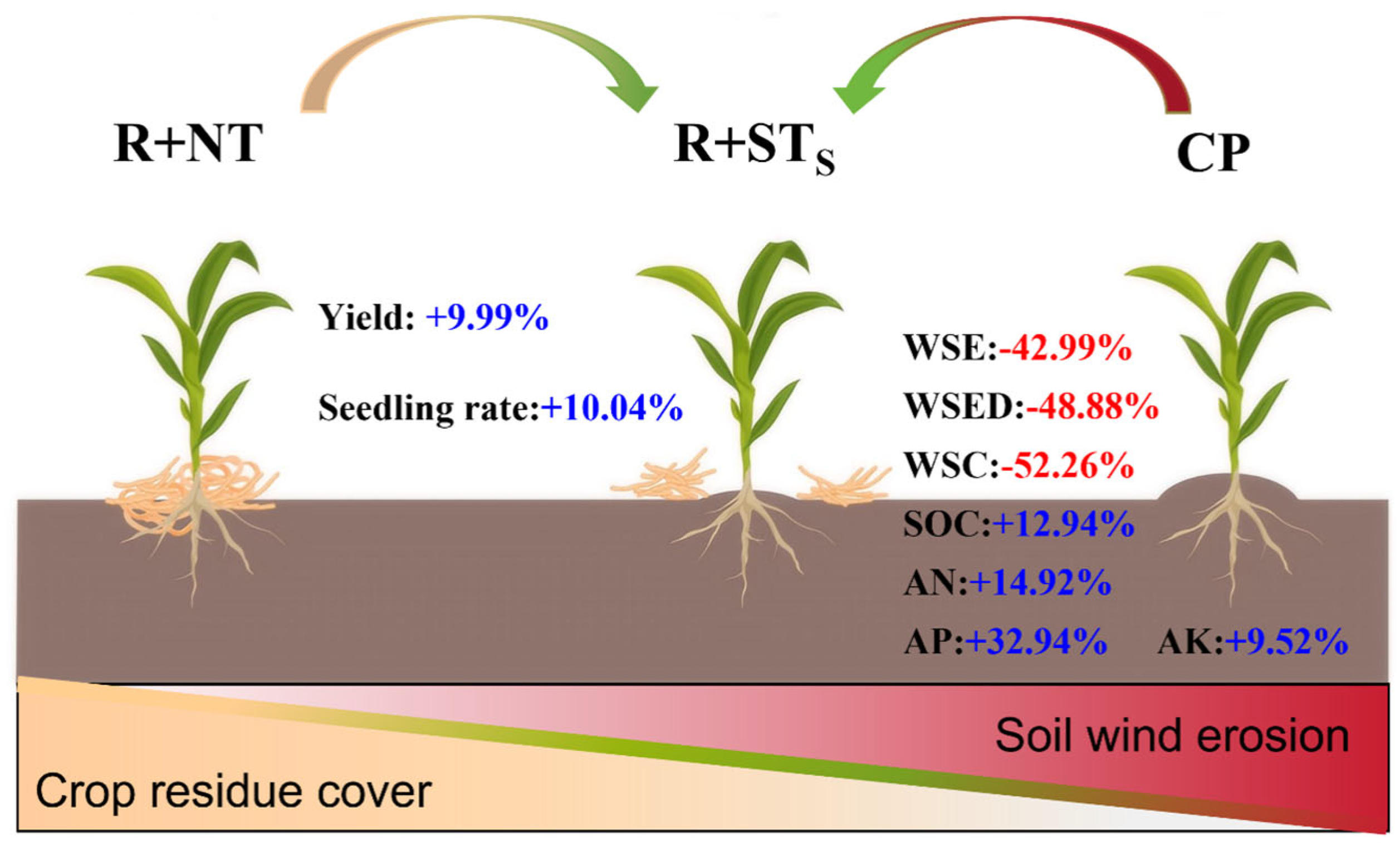 Agronomy 15 01415 g012
