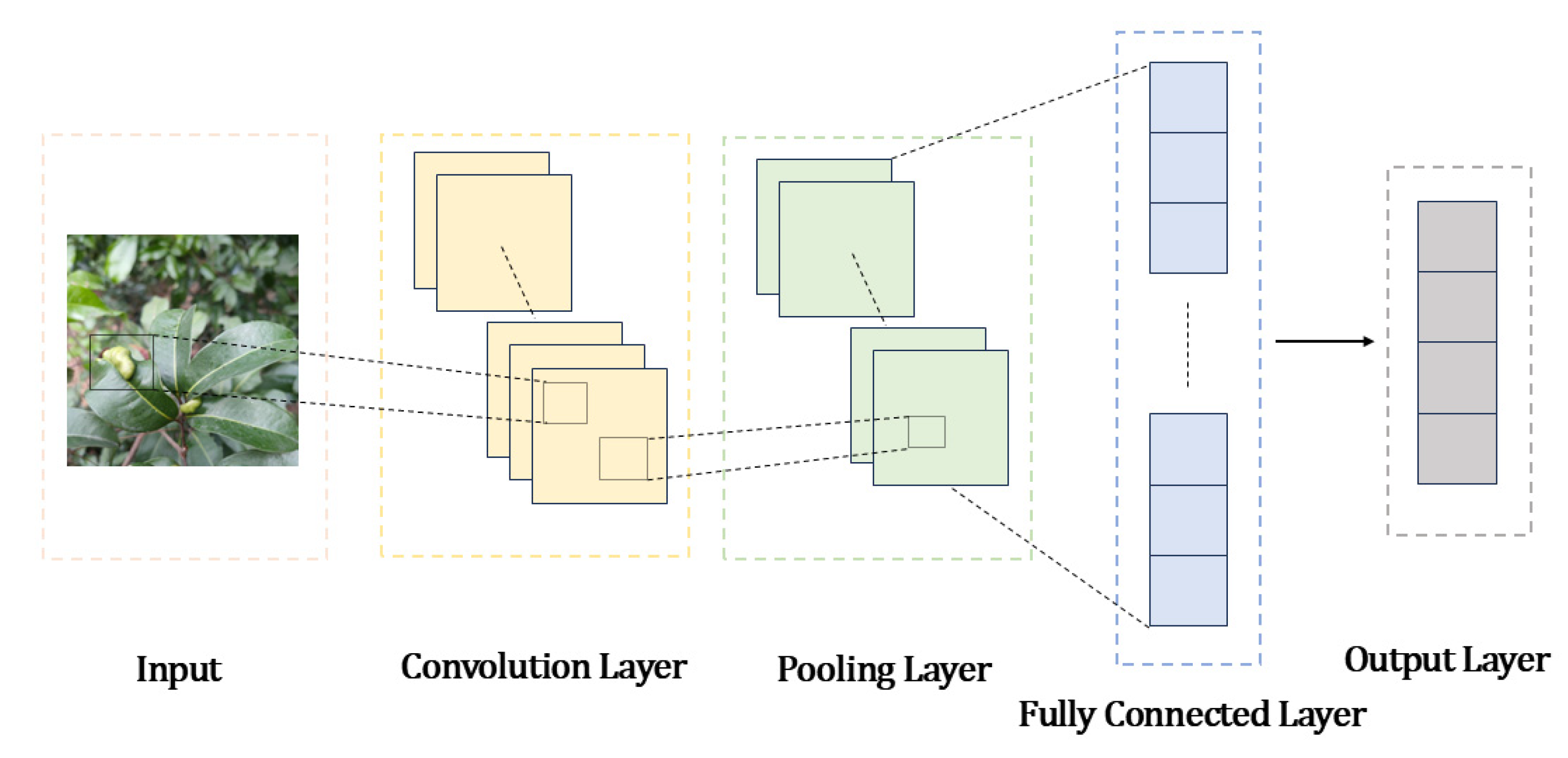 Agronomy 15 01416 g001