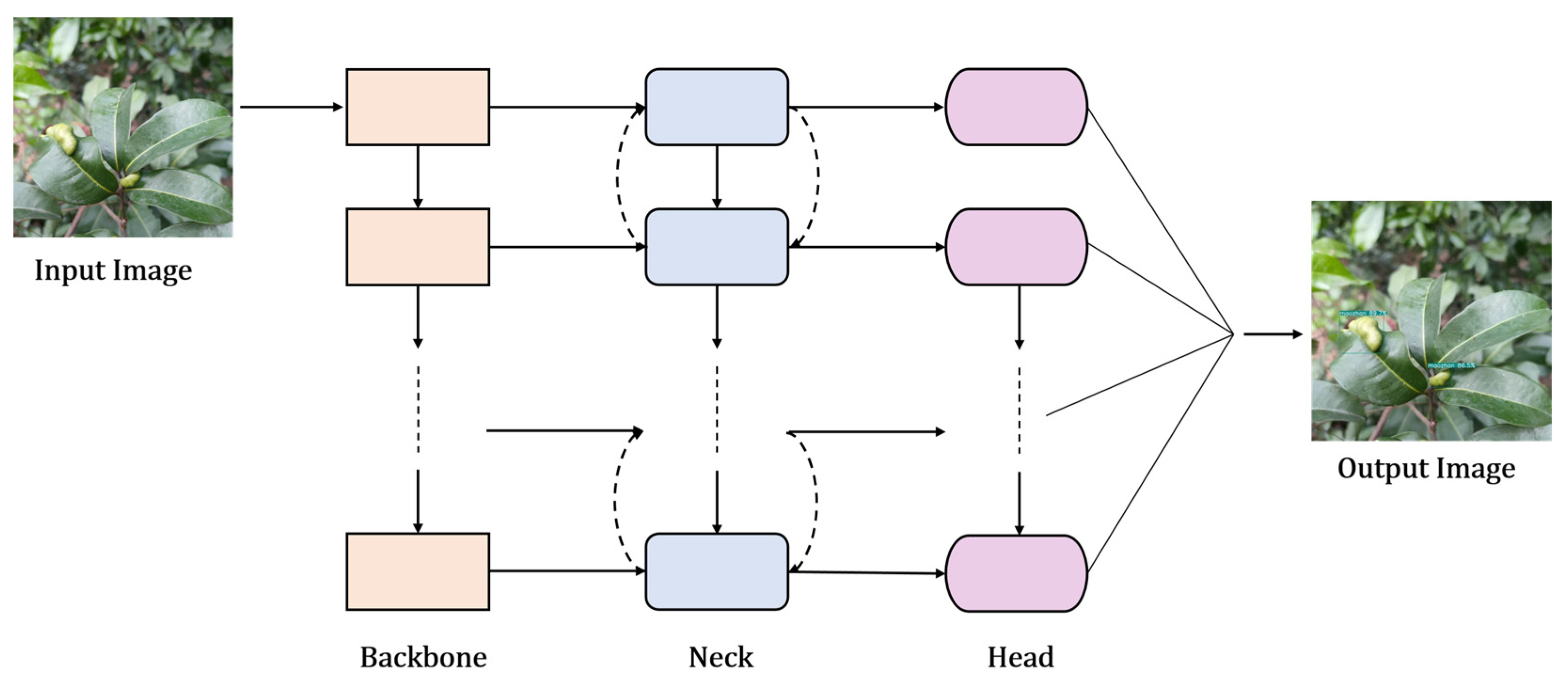 Agronomy 15 01416 g002