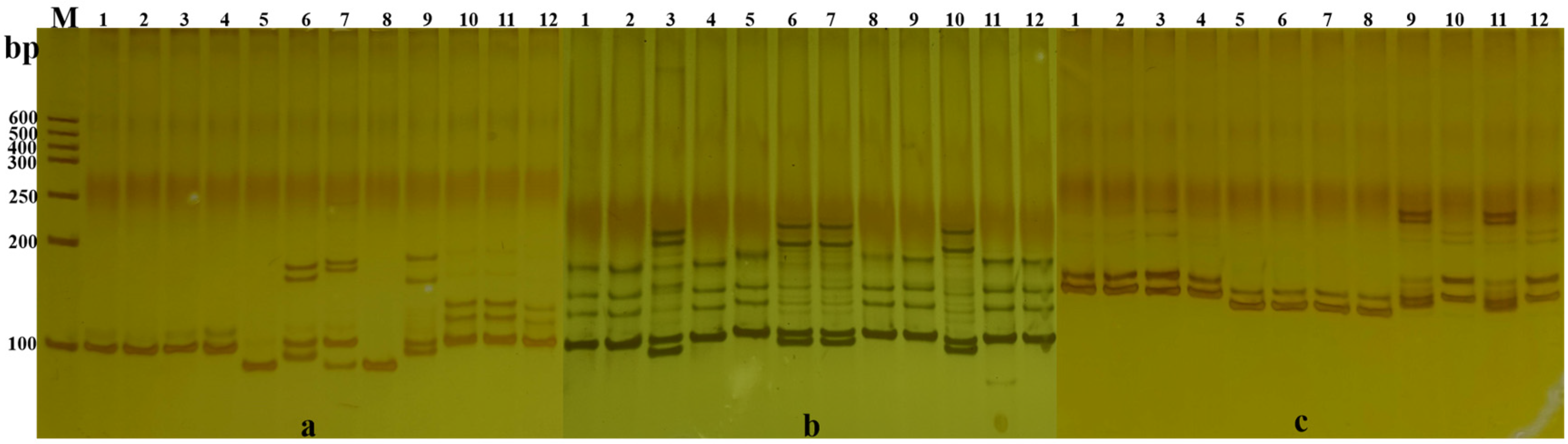 Agronomy 15 01420 g002