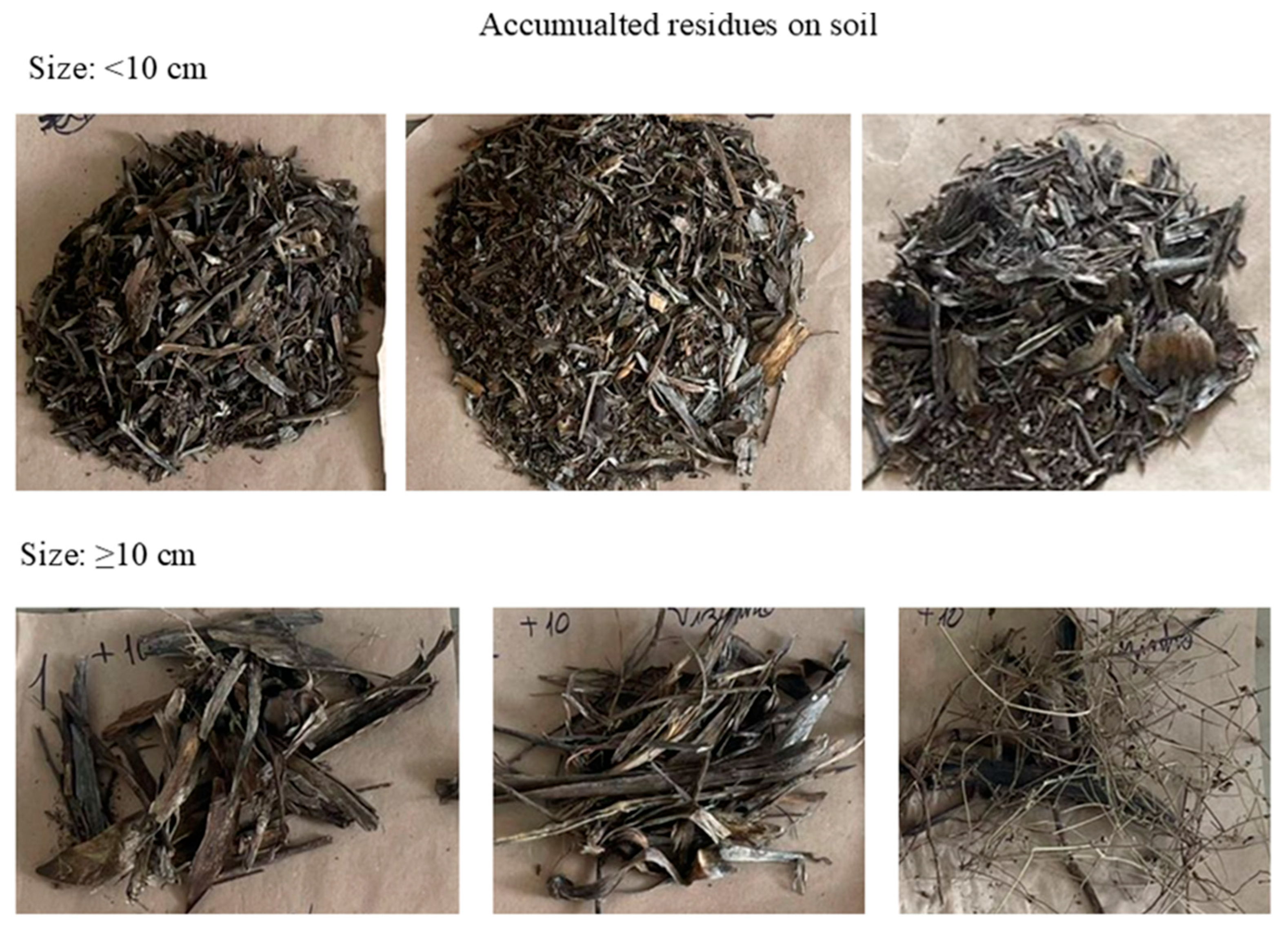 Agronomy 15 01426 g003 Agronomy 15 01426 g003