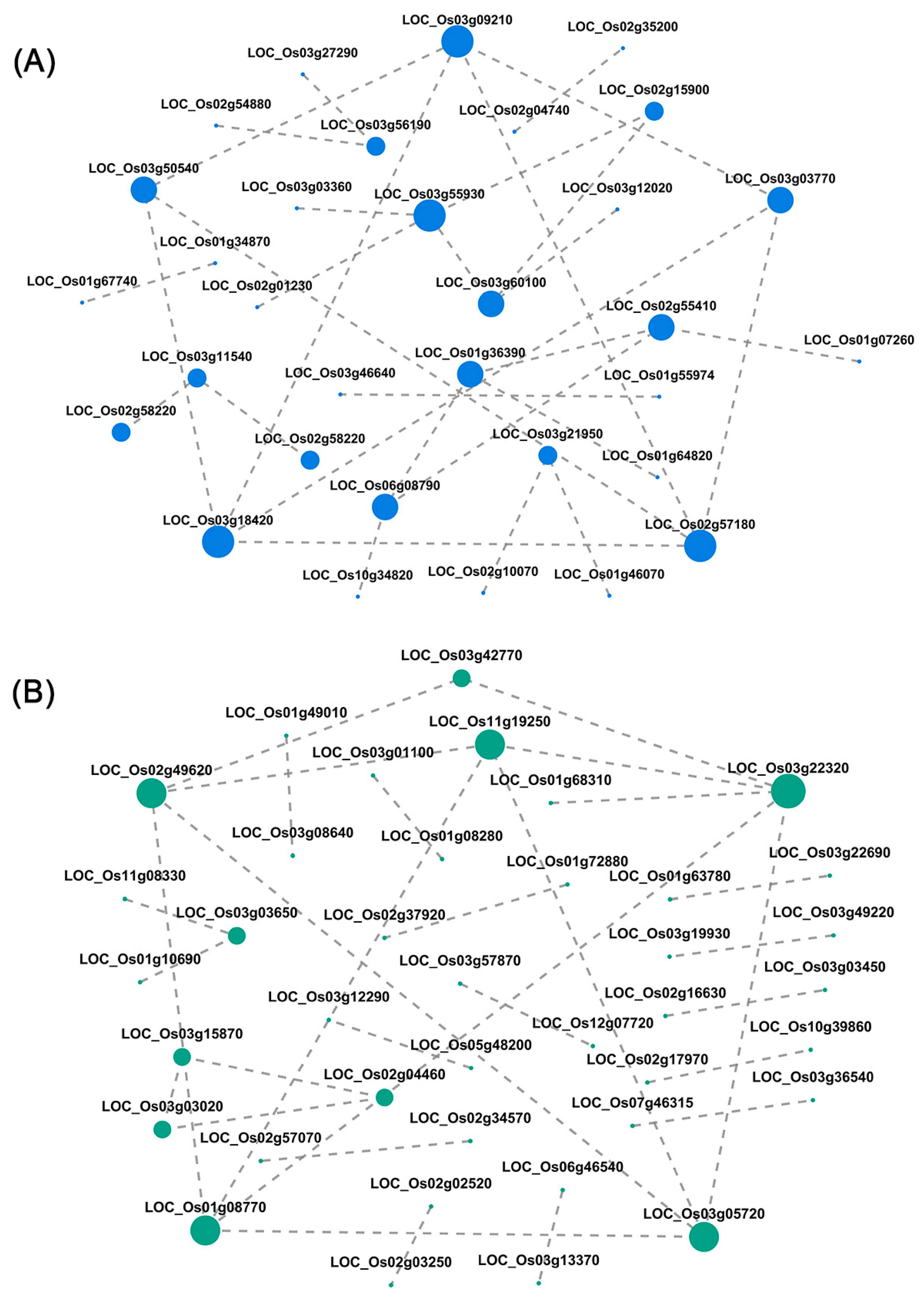 Agronomy 15 01429 g003