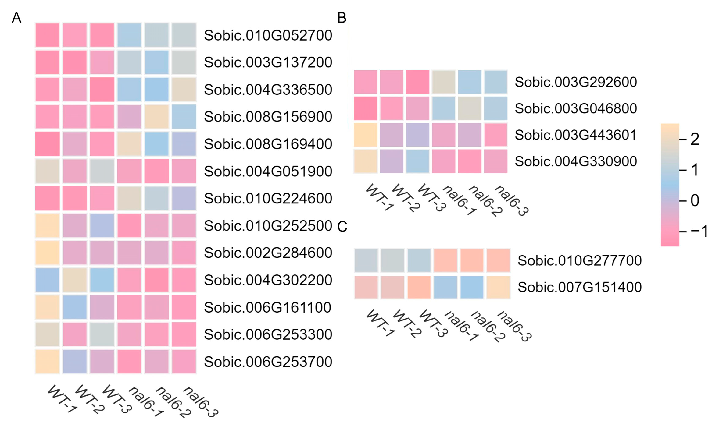 Agronomy 15 01432 g009