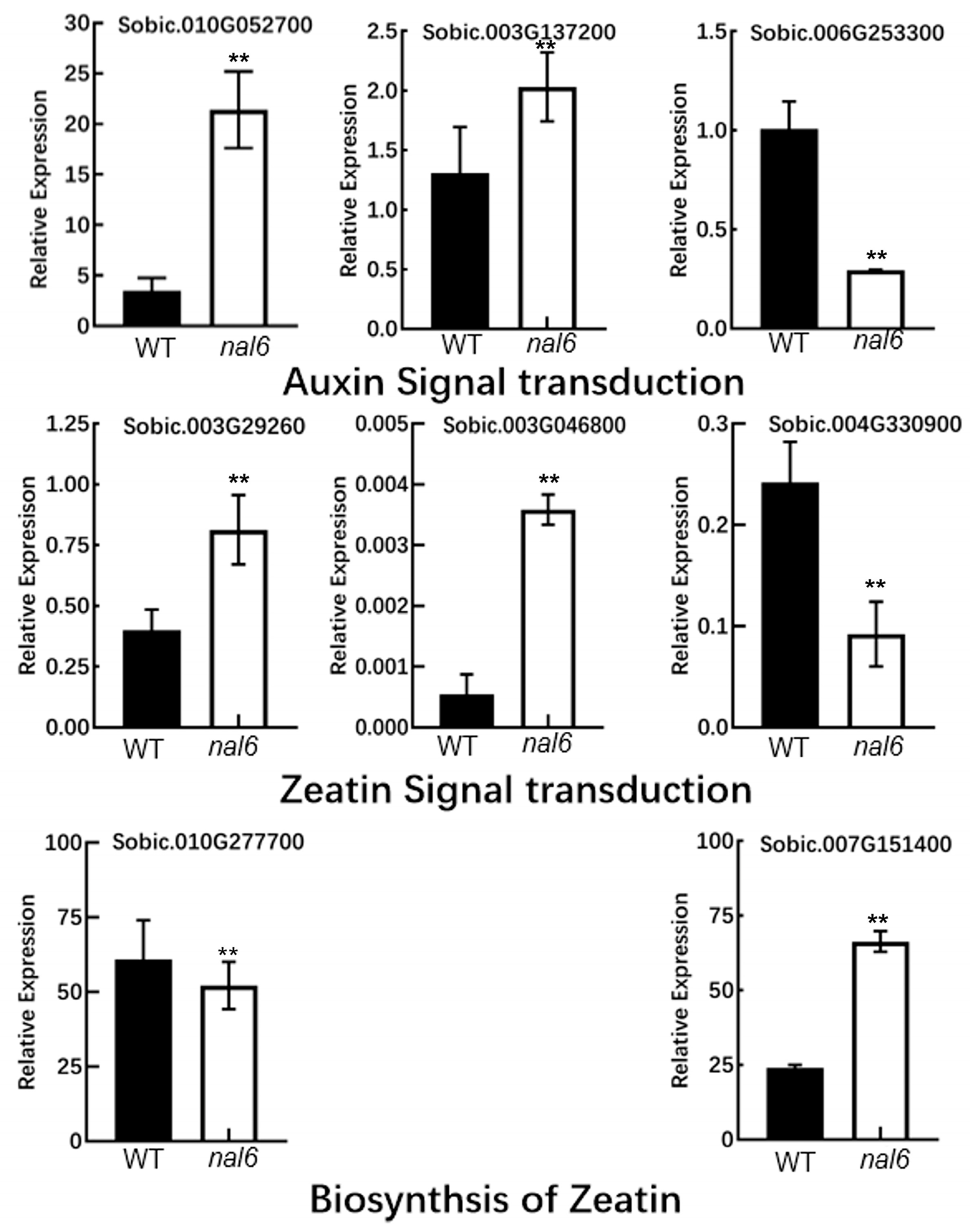 Agronomy 15 01432 g011