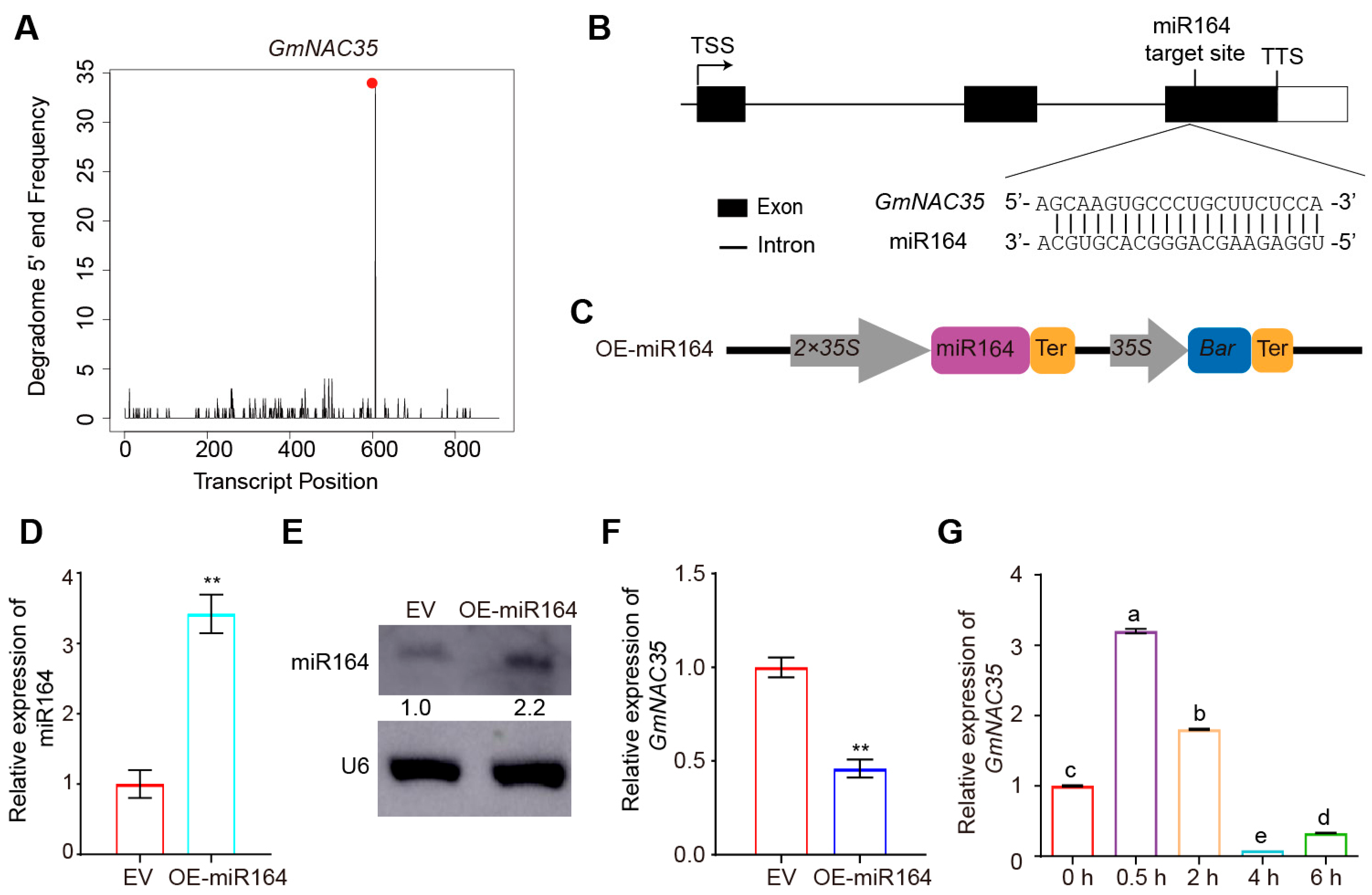 Agronomy 15 01450 g003