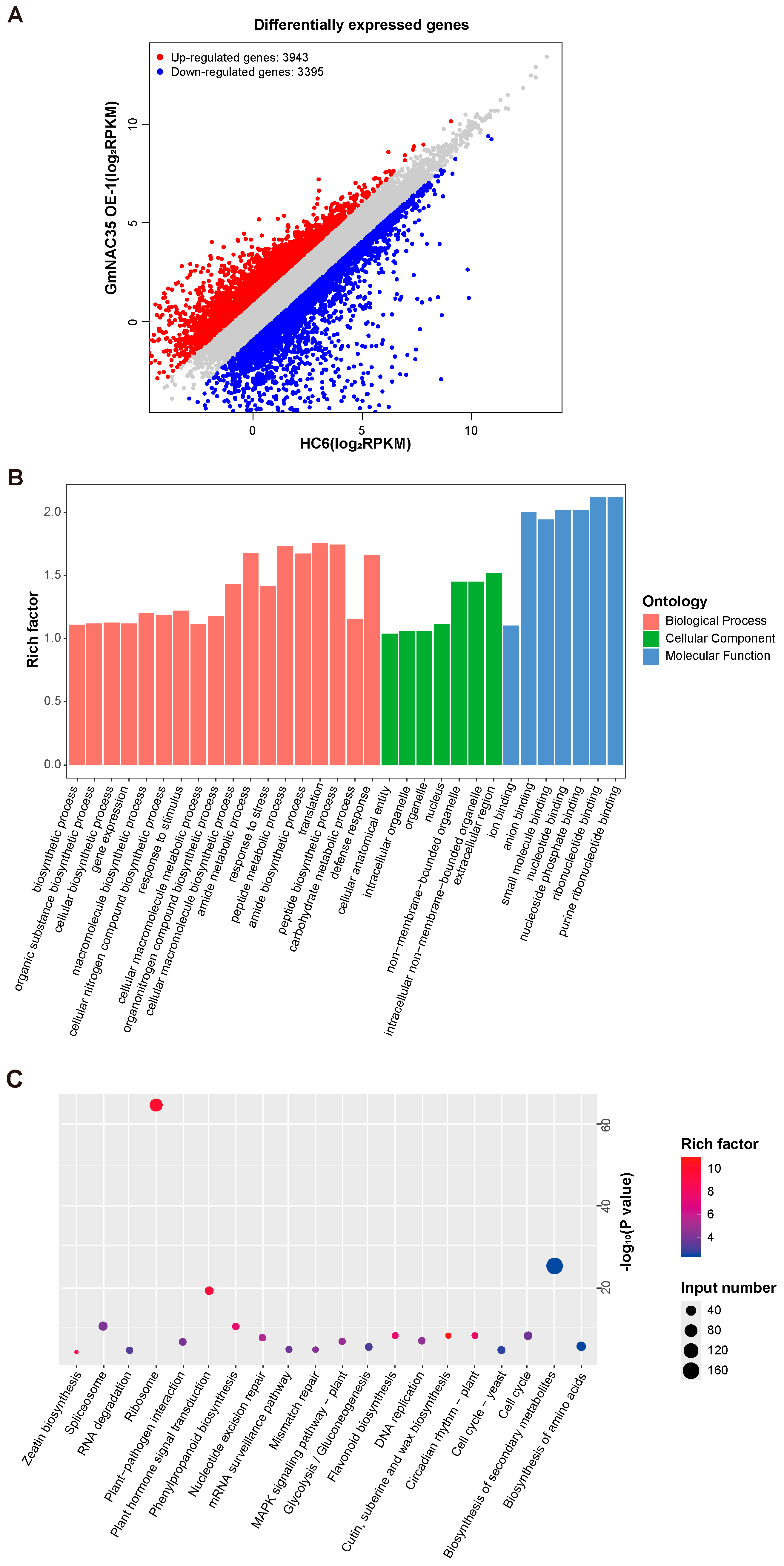 Agronomy 15 01450 g005
