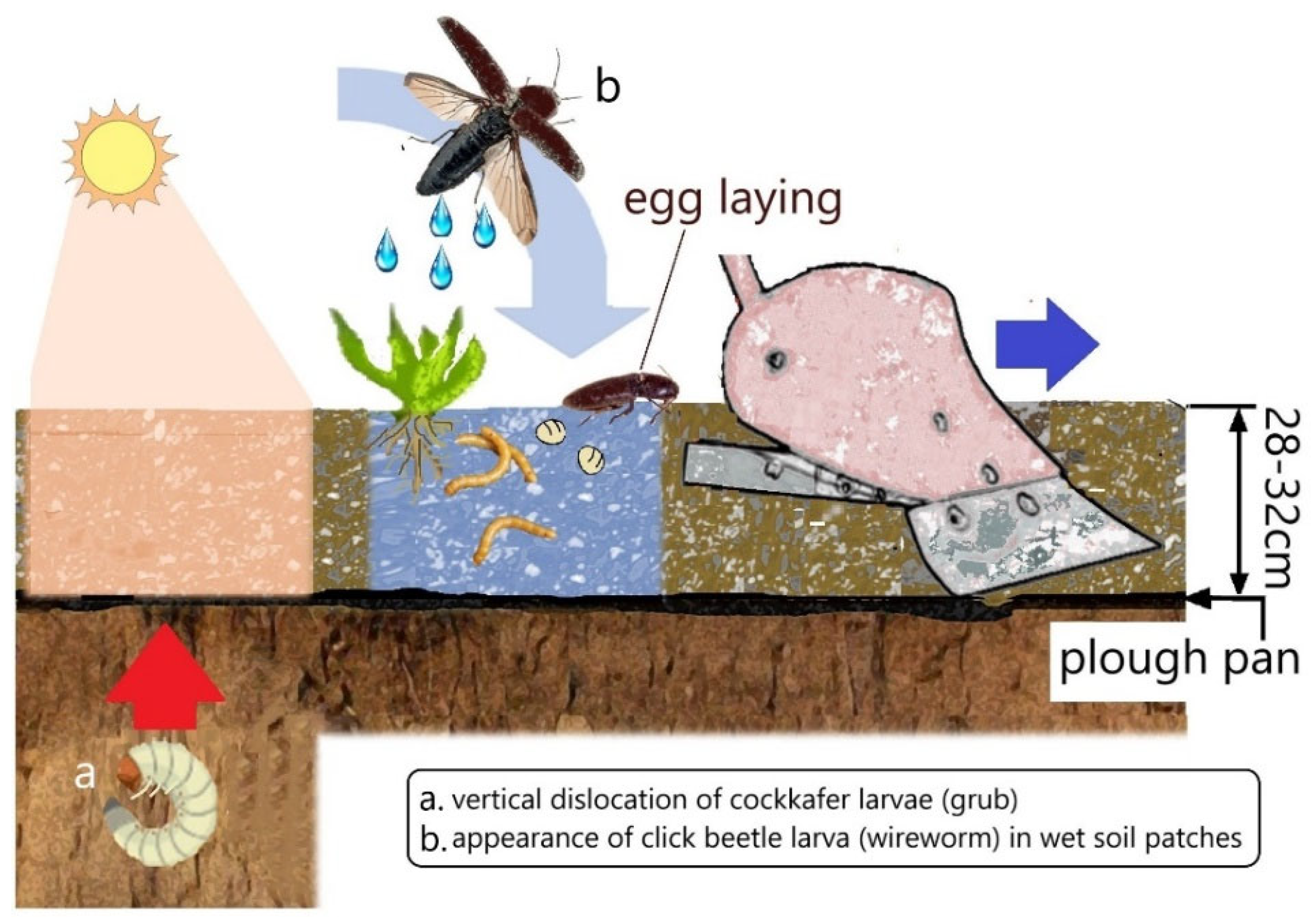 Agronomy 15 01454 g002