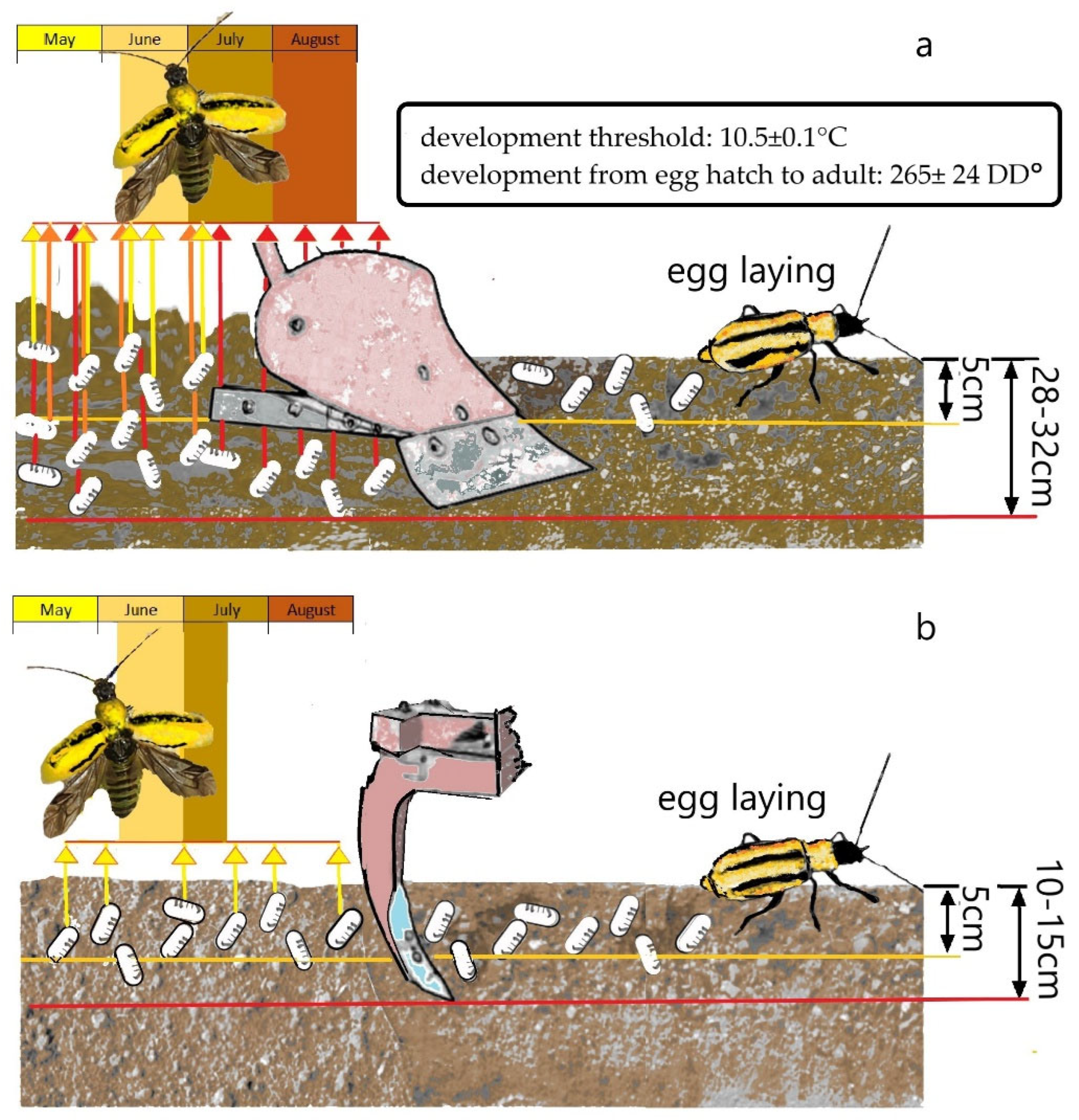 Agronomy 15 01454 g003
