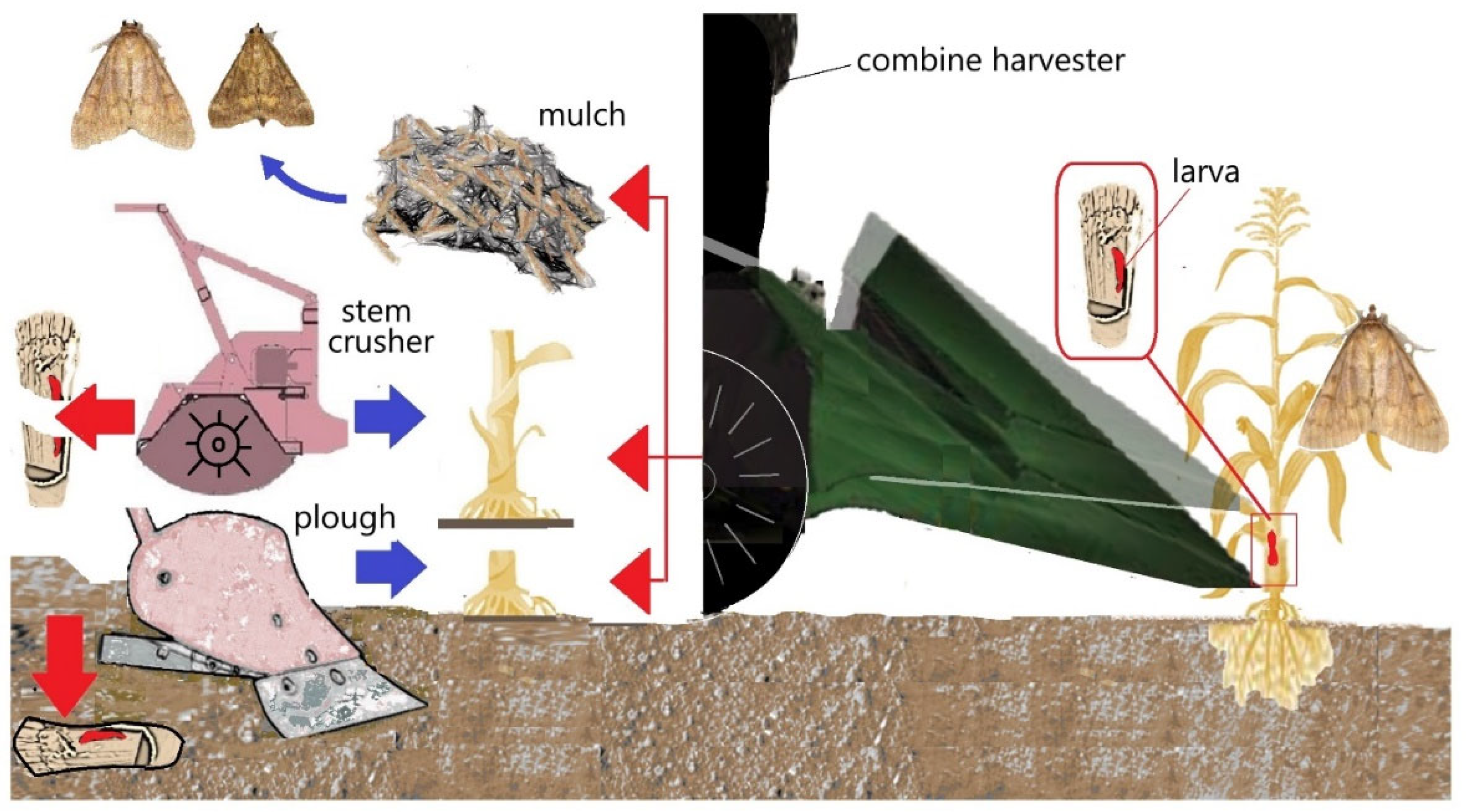Agronomy 15 01454 g004