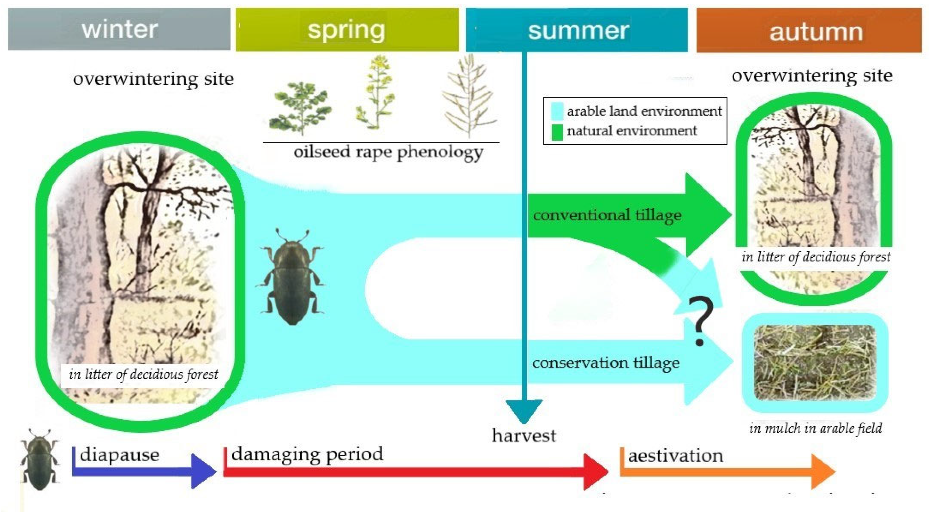 Agronomy 15 01454 g005
