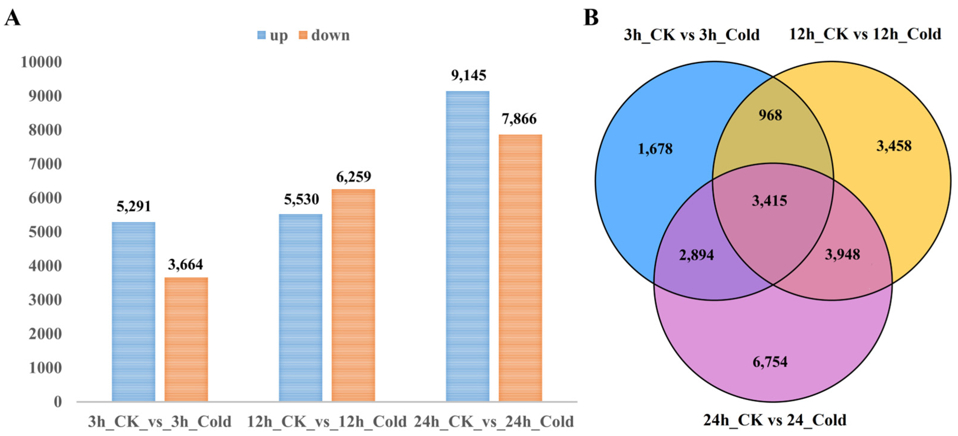 Agronomy 15 01456 g002