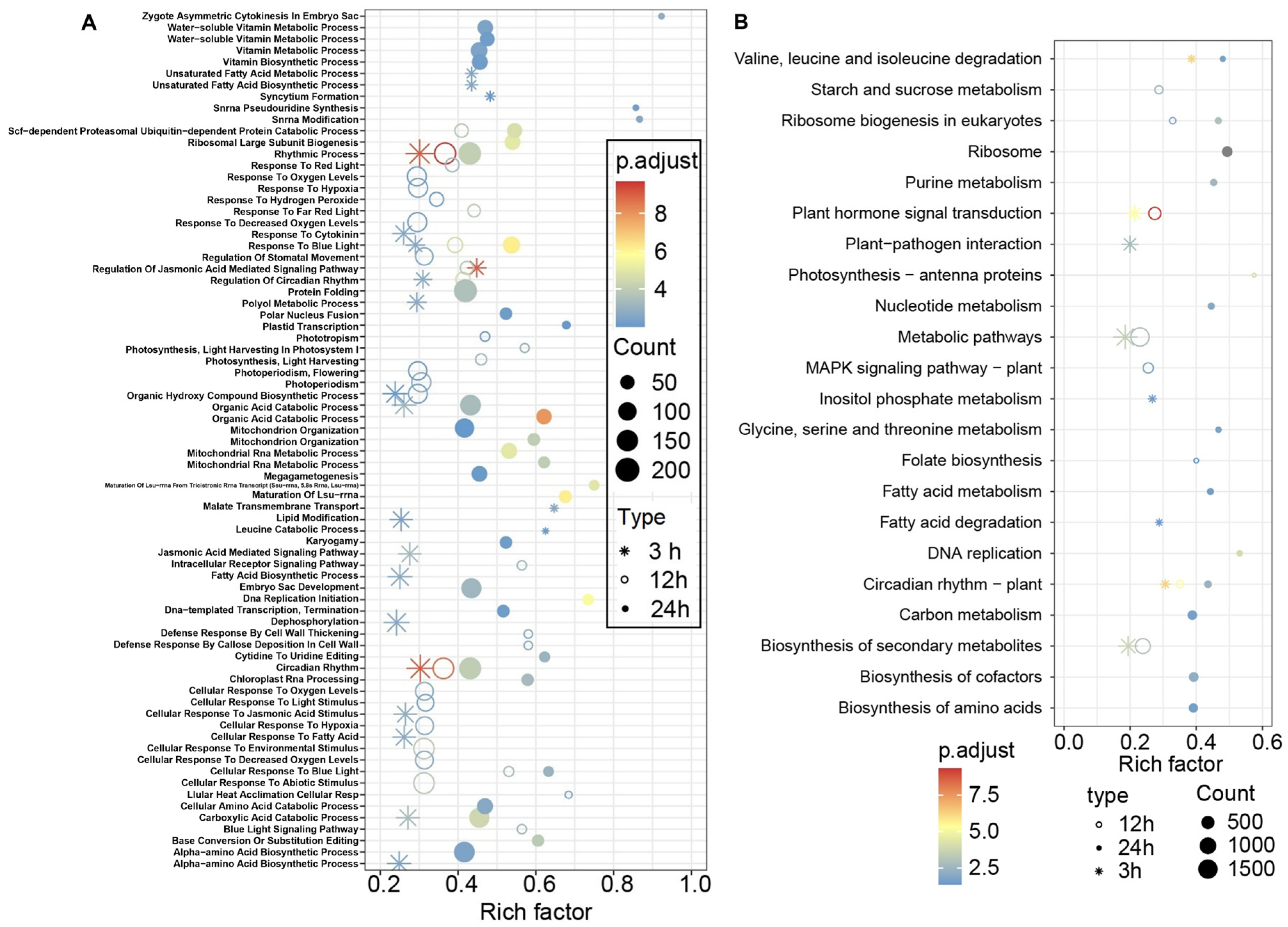 Agronomy 15 01456 g004