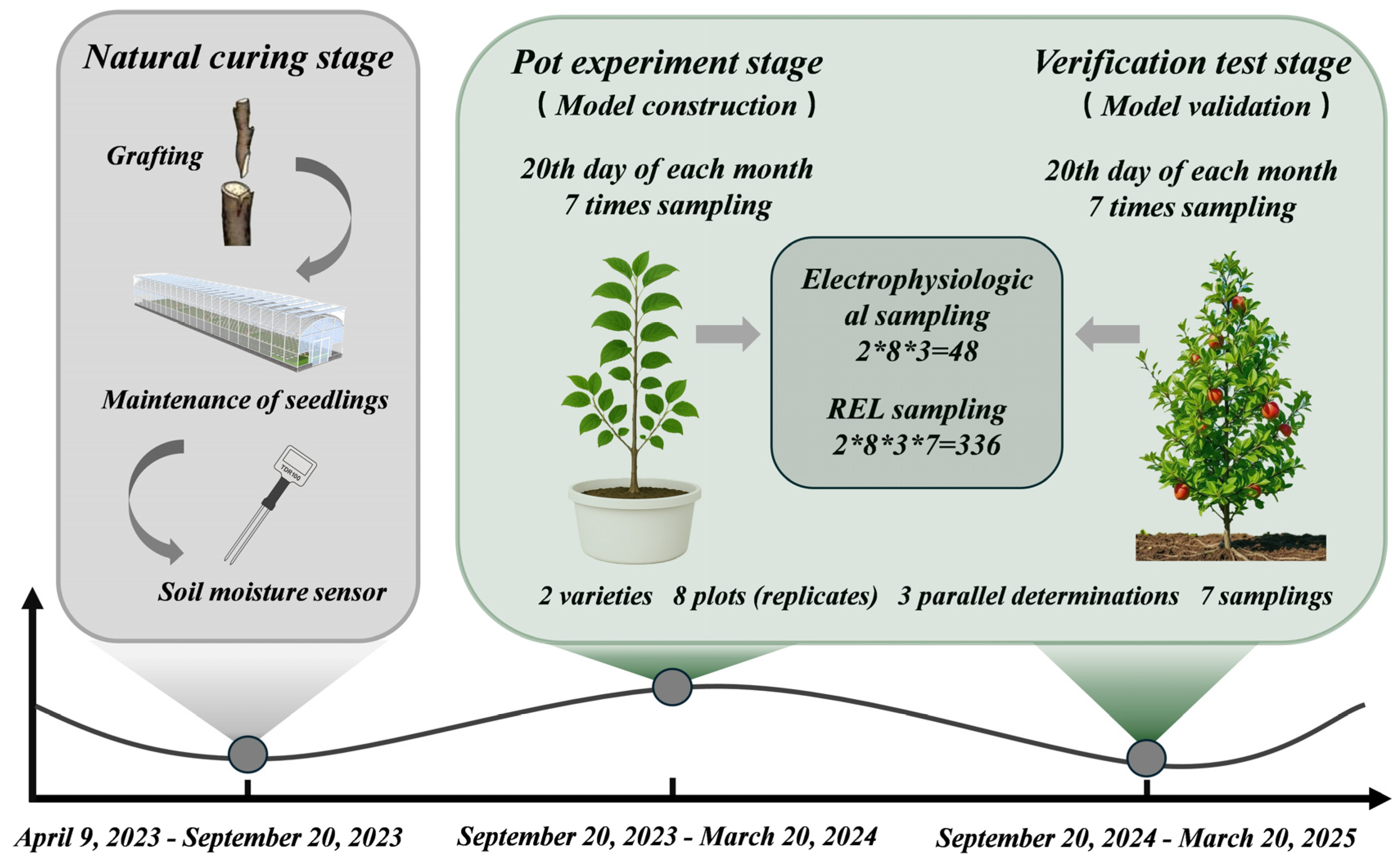 Agronomy 15 01458 g001 Agronomy 15 01458 g001
