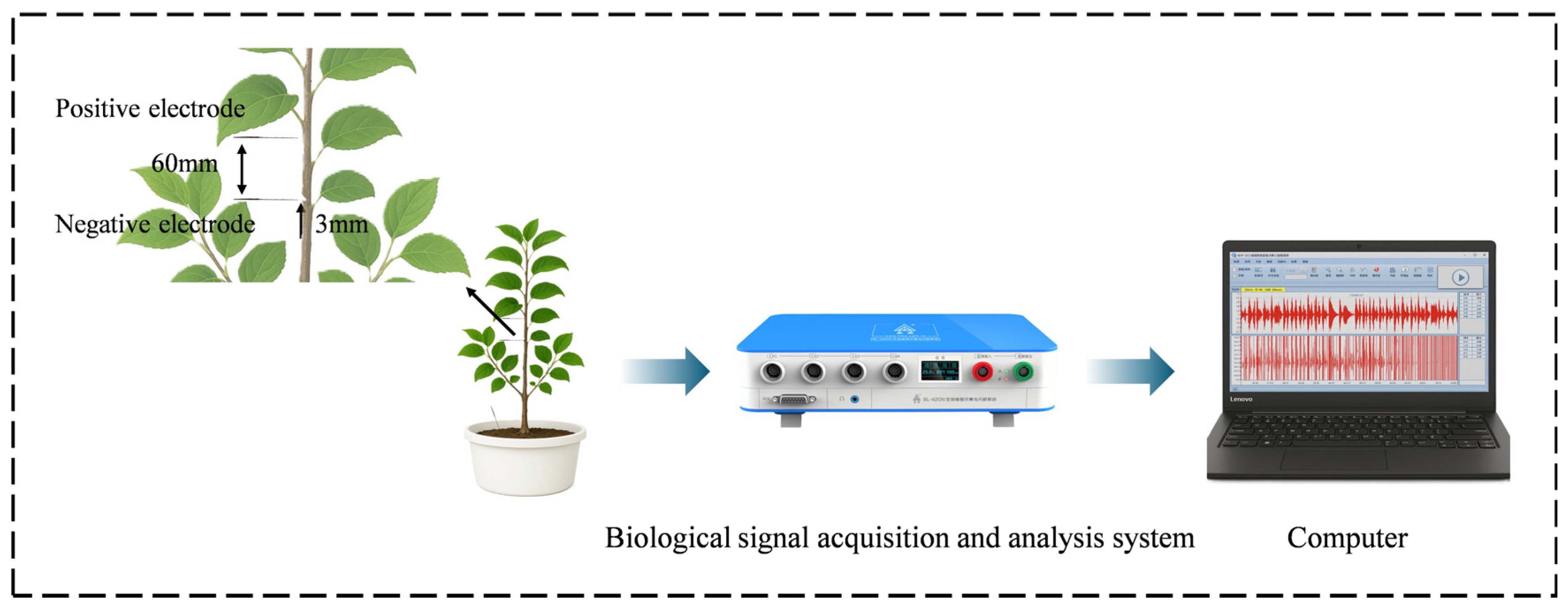Agronomy 15 01458 g002 Agronomy 15 01458 g002