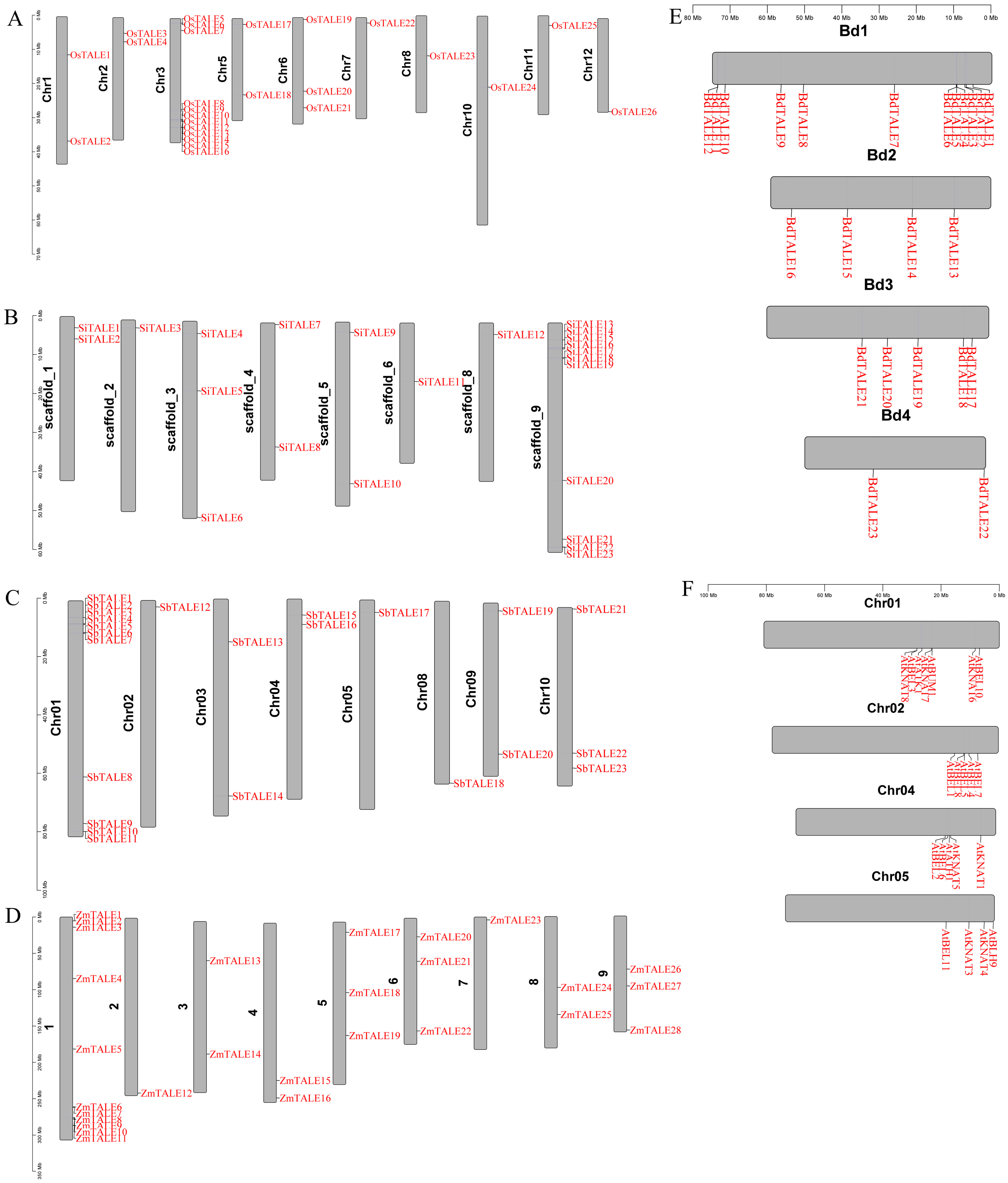 Agronomy 15 01460 g001