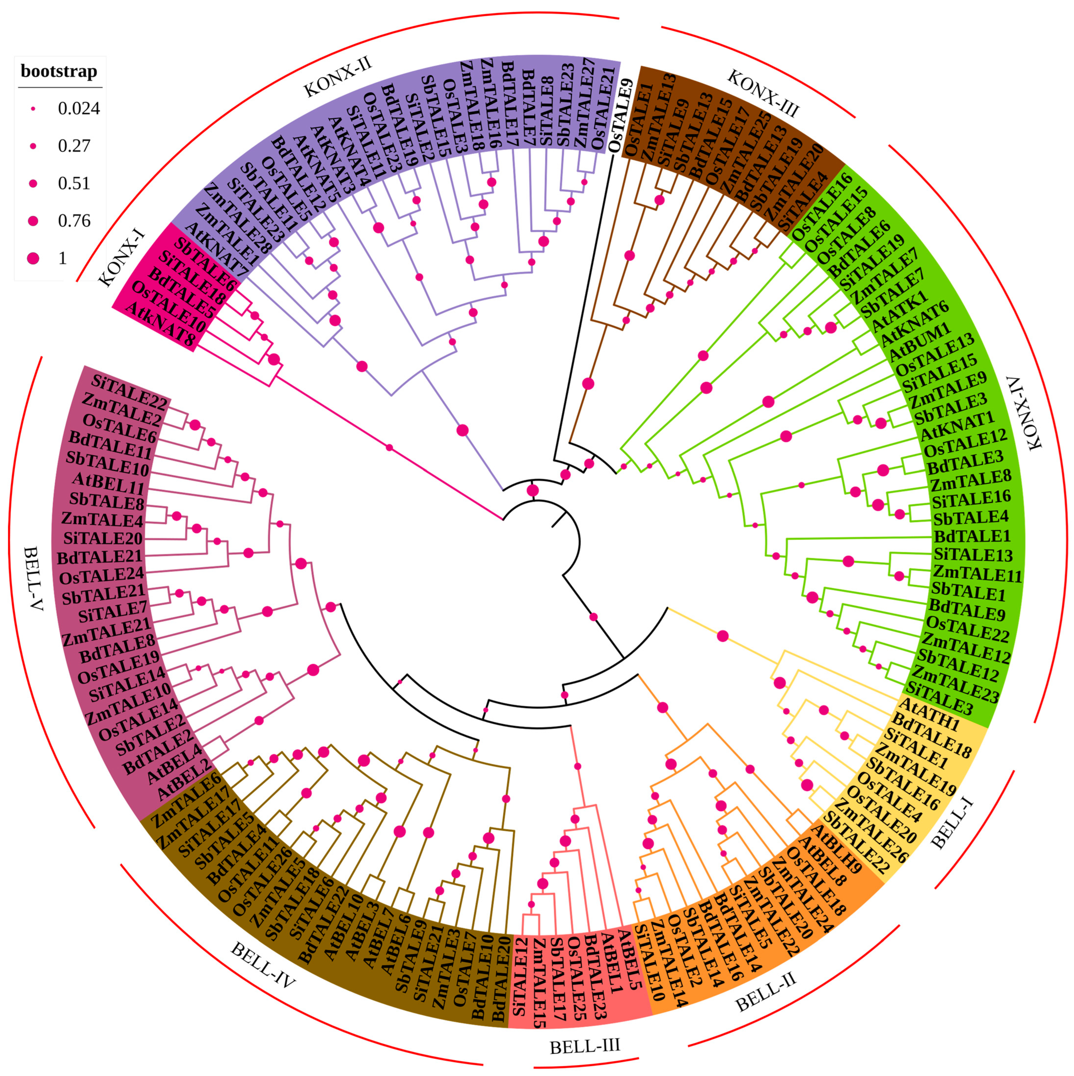 Agronomy 15 01460 g002