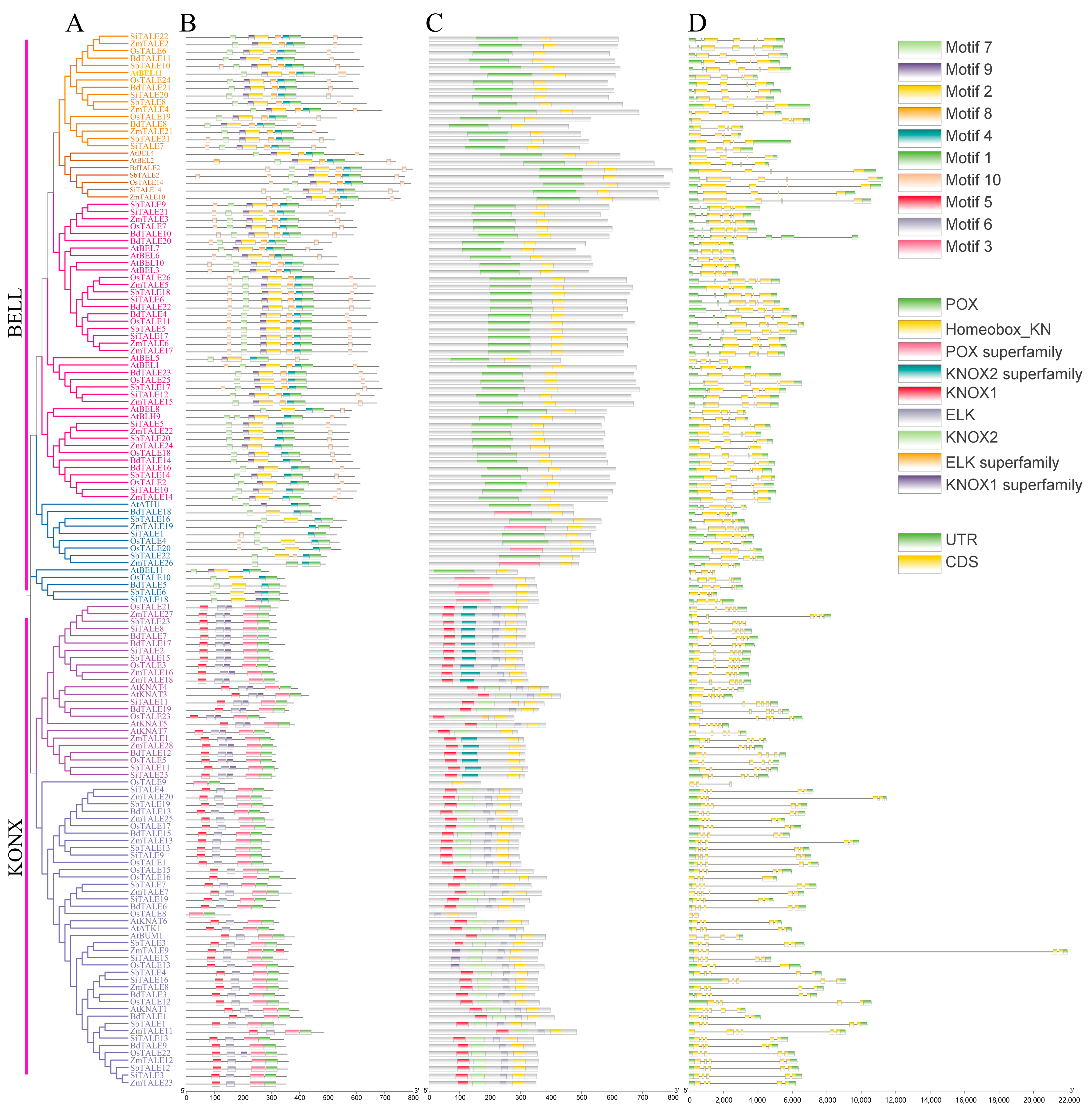 Agronomy 15 01460 g003
