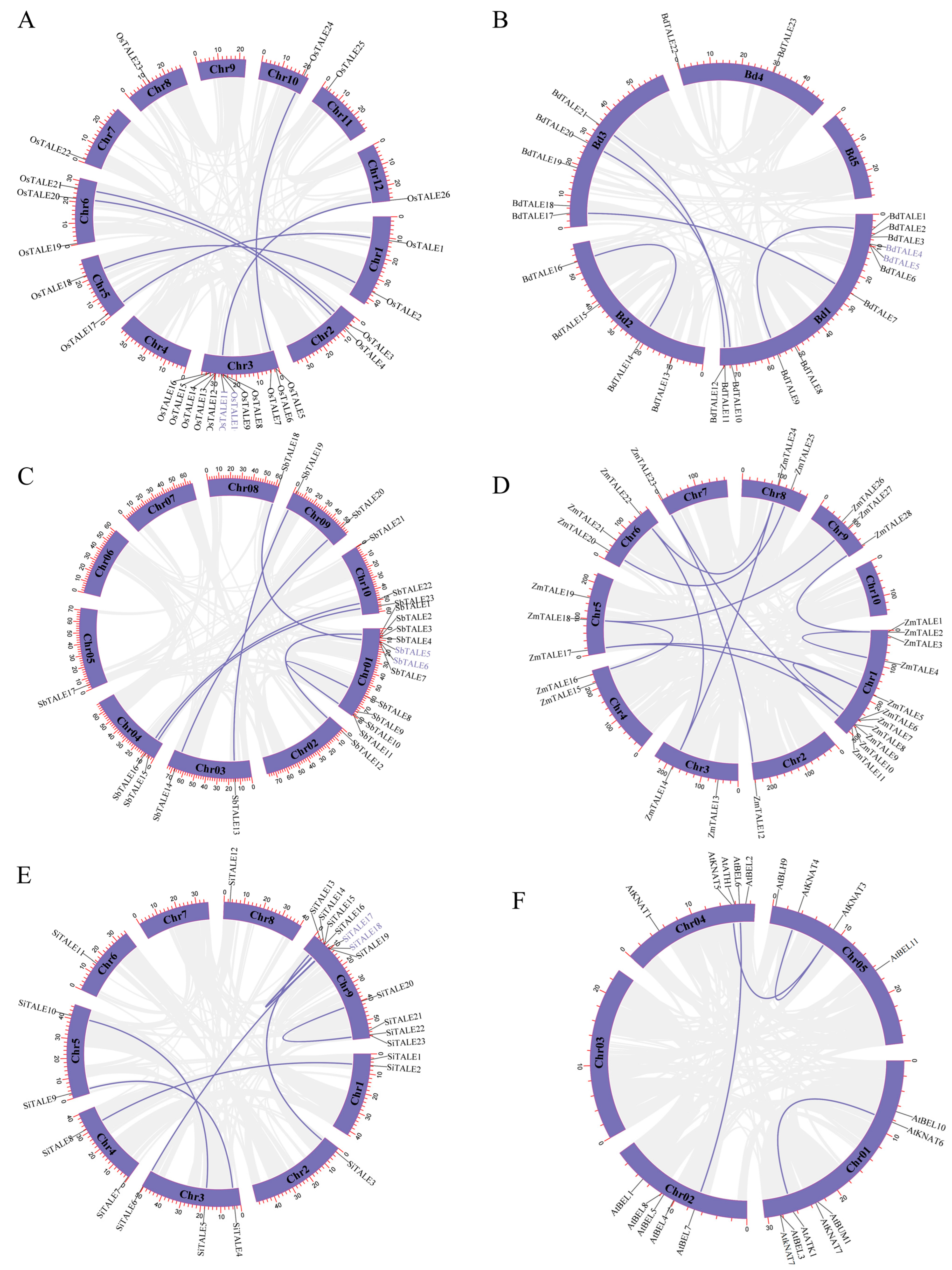 Agronomy 15 01460 g004