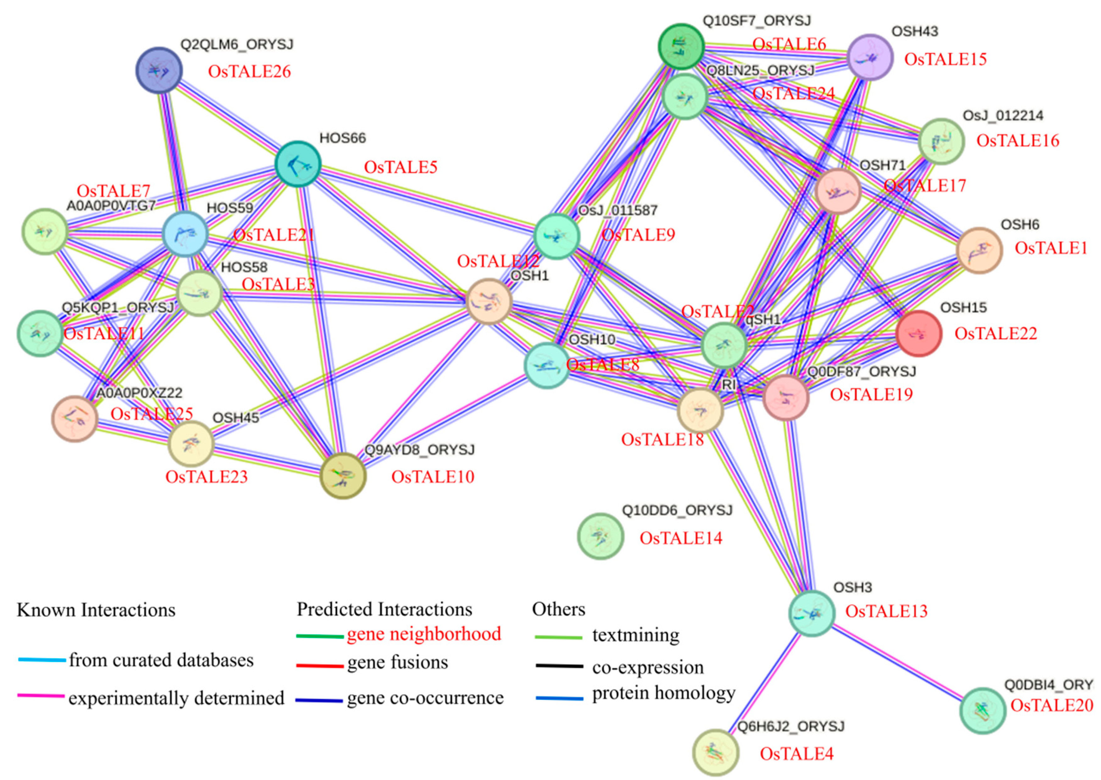 Agronomy 15 01460 g009