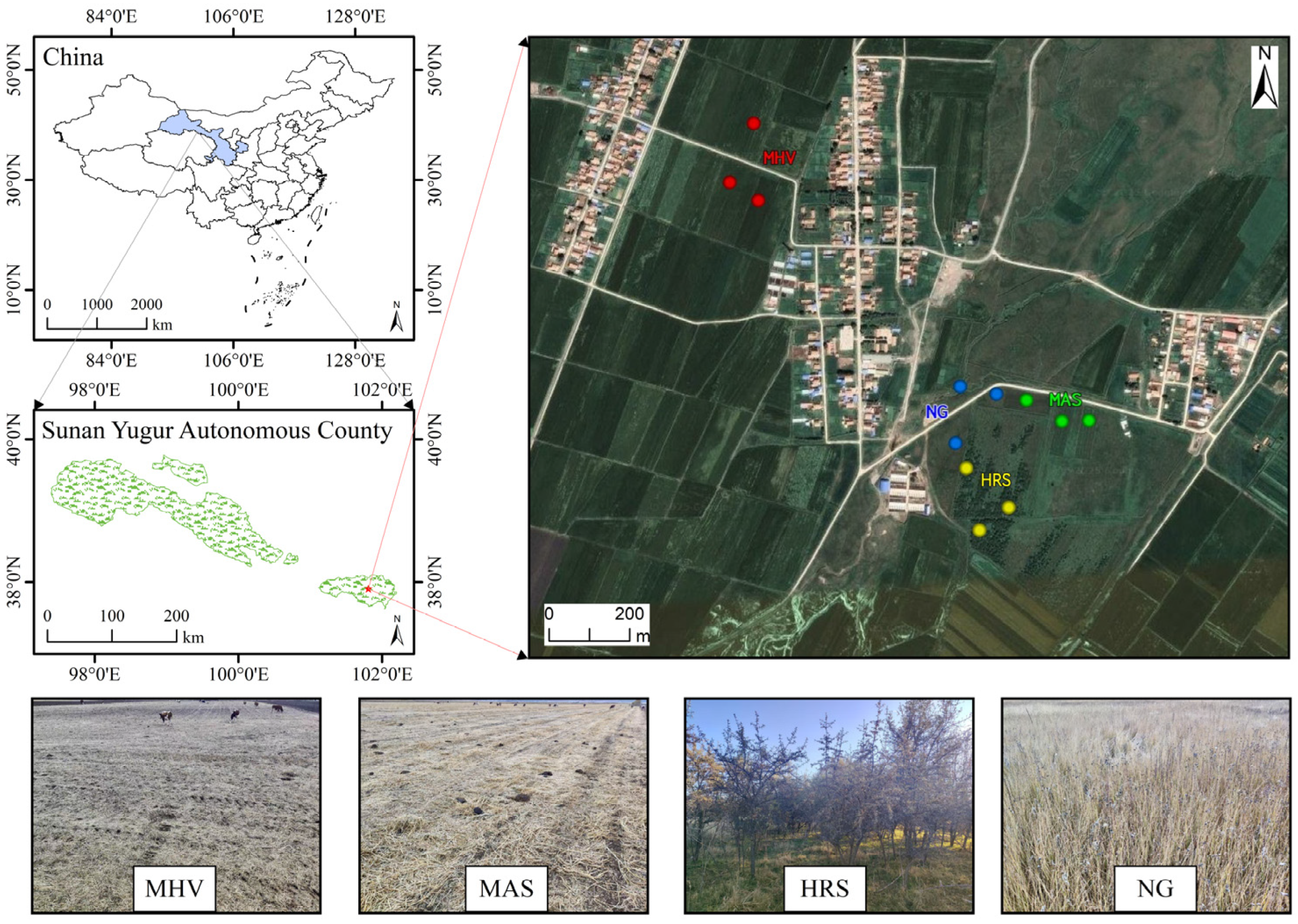 Agronomy 15 01461 g001