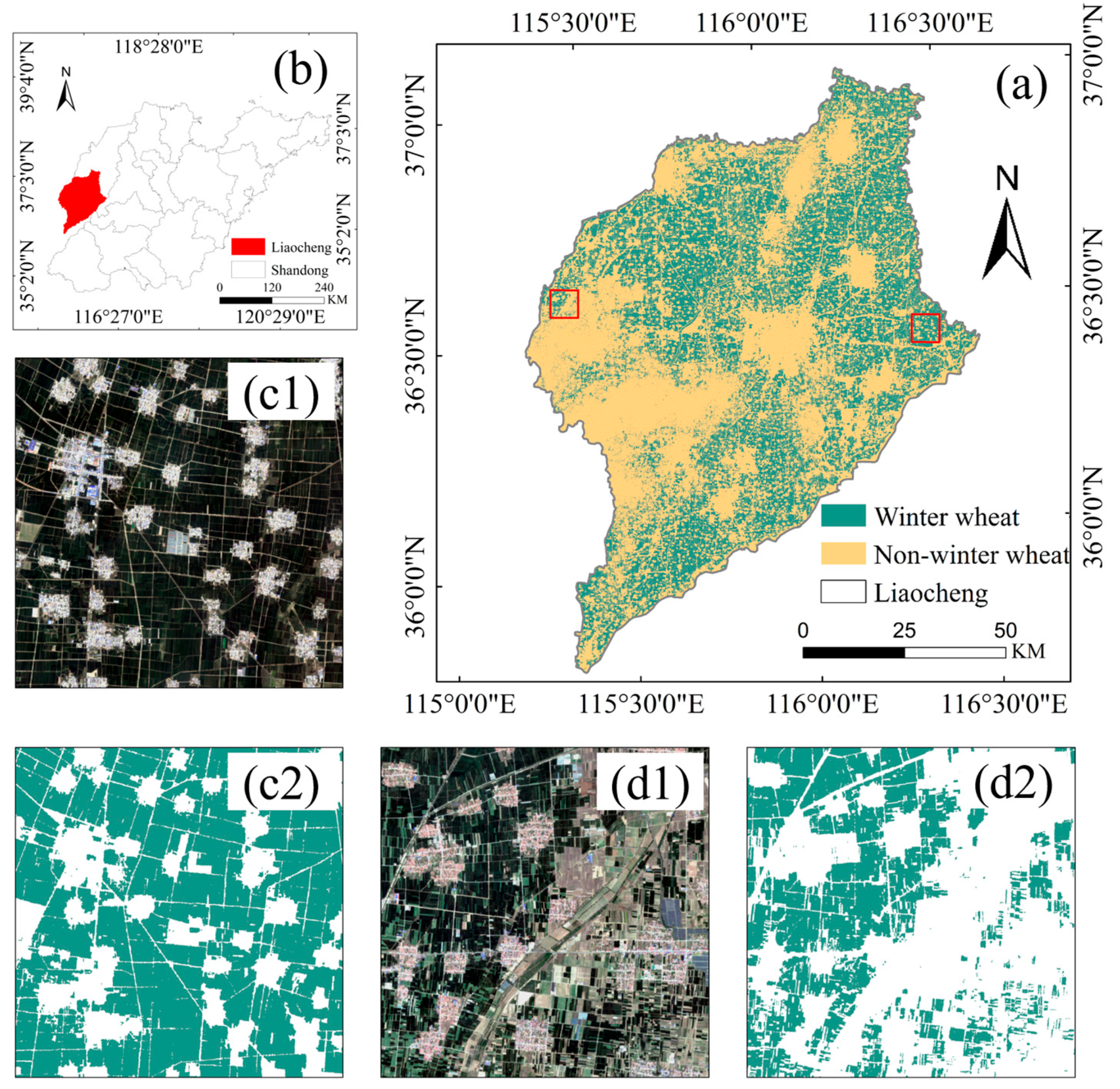 Agronomy 15 01463 g011