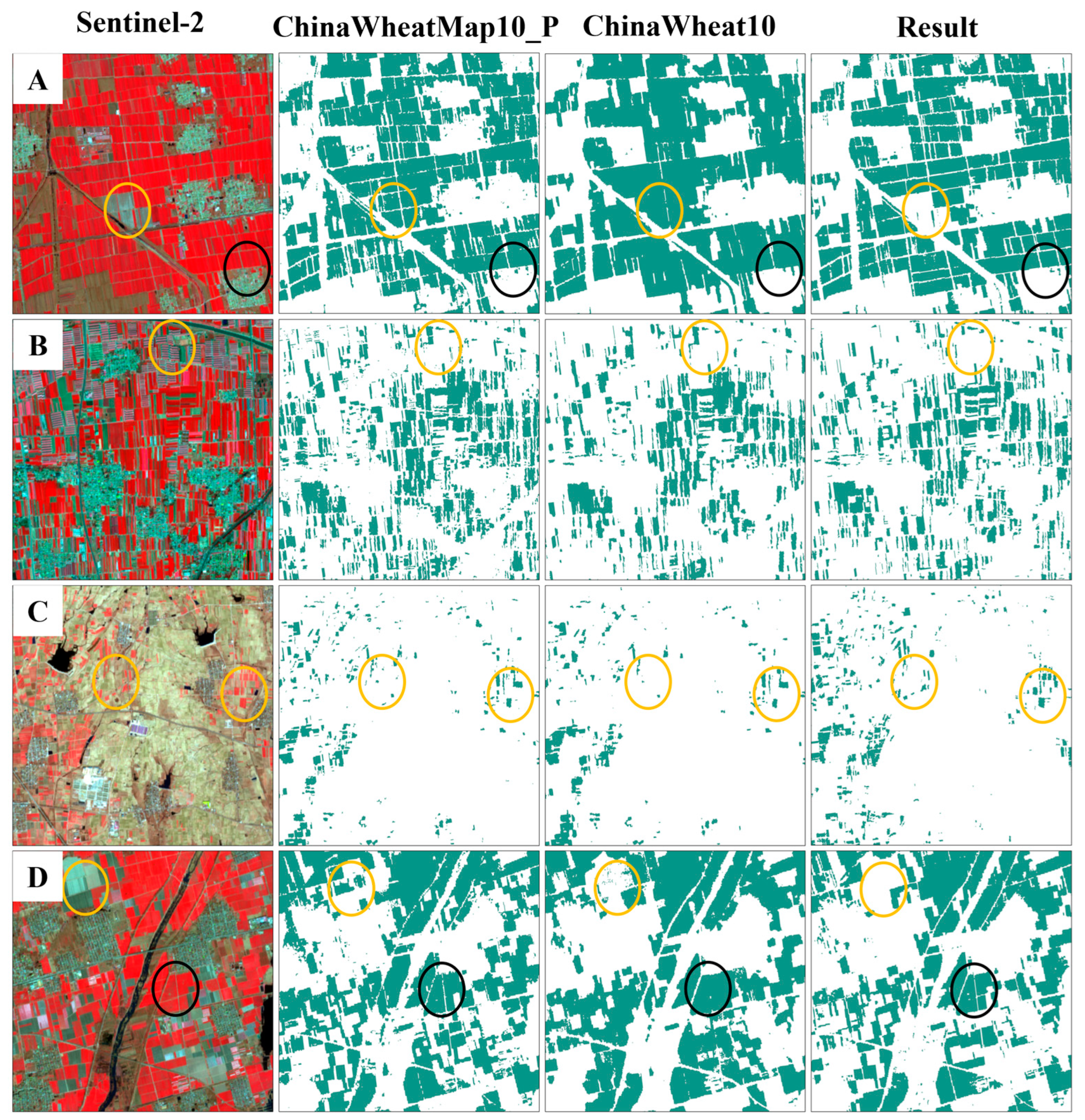 Agronomy 15 01463 g012