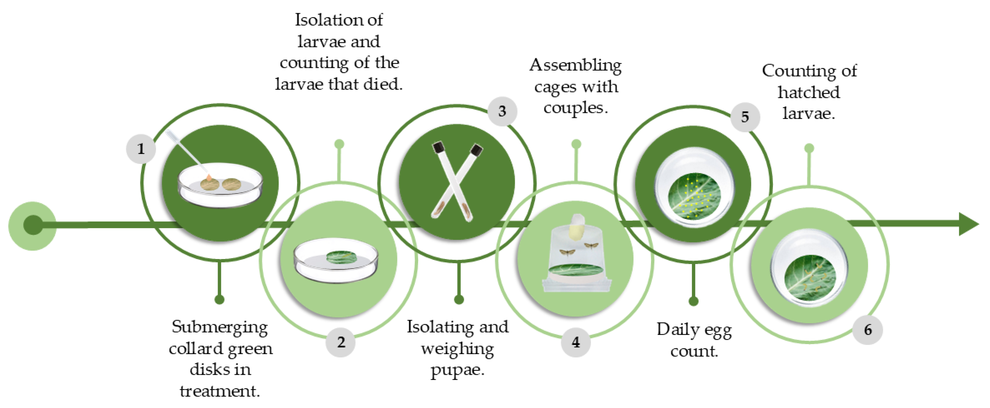 Agronomy 15 01464 g001