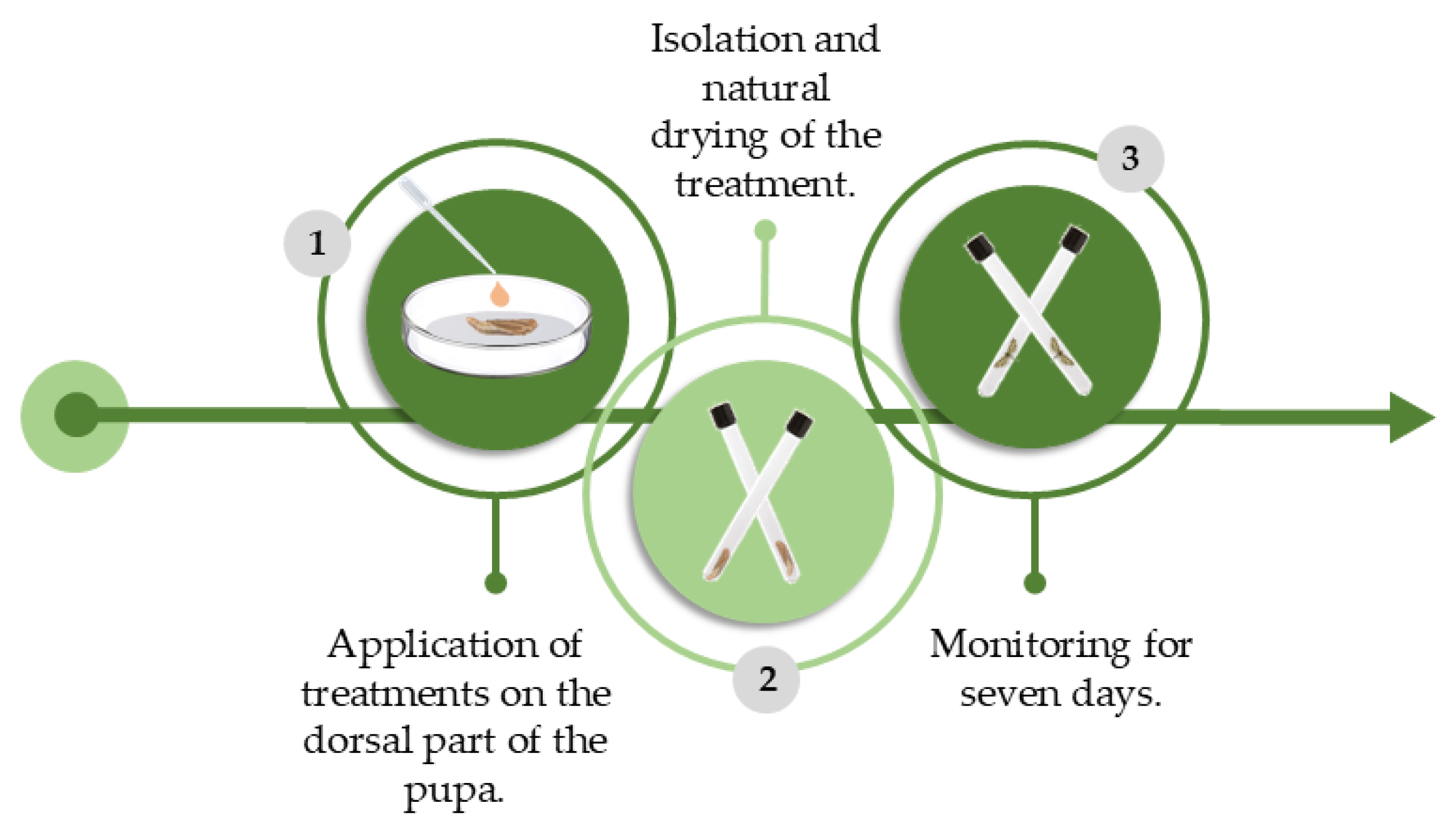 Agronomy 15 01464 g003