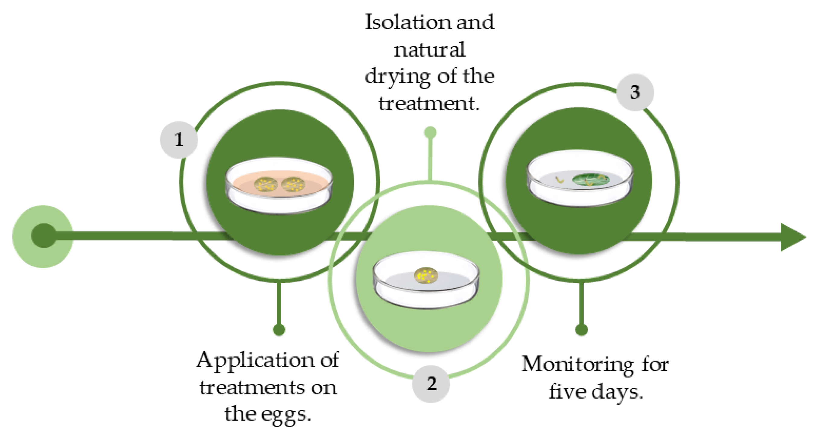 Agronomy 15 01464 g004