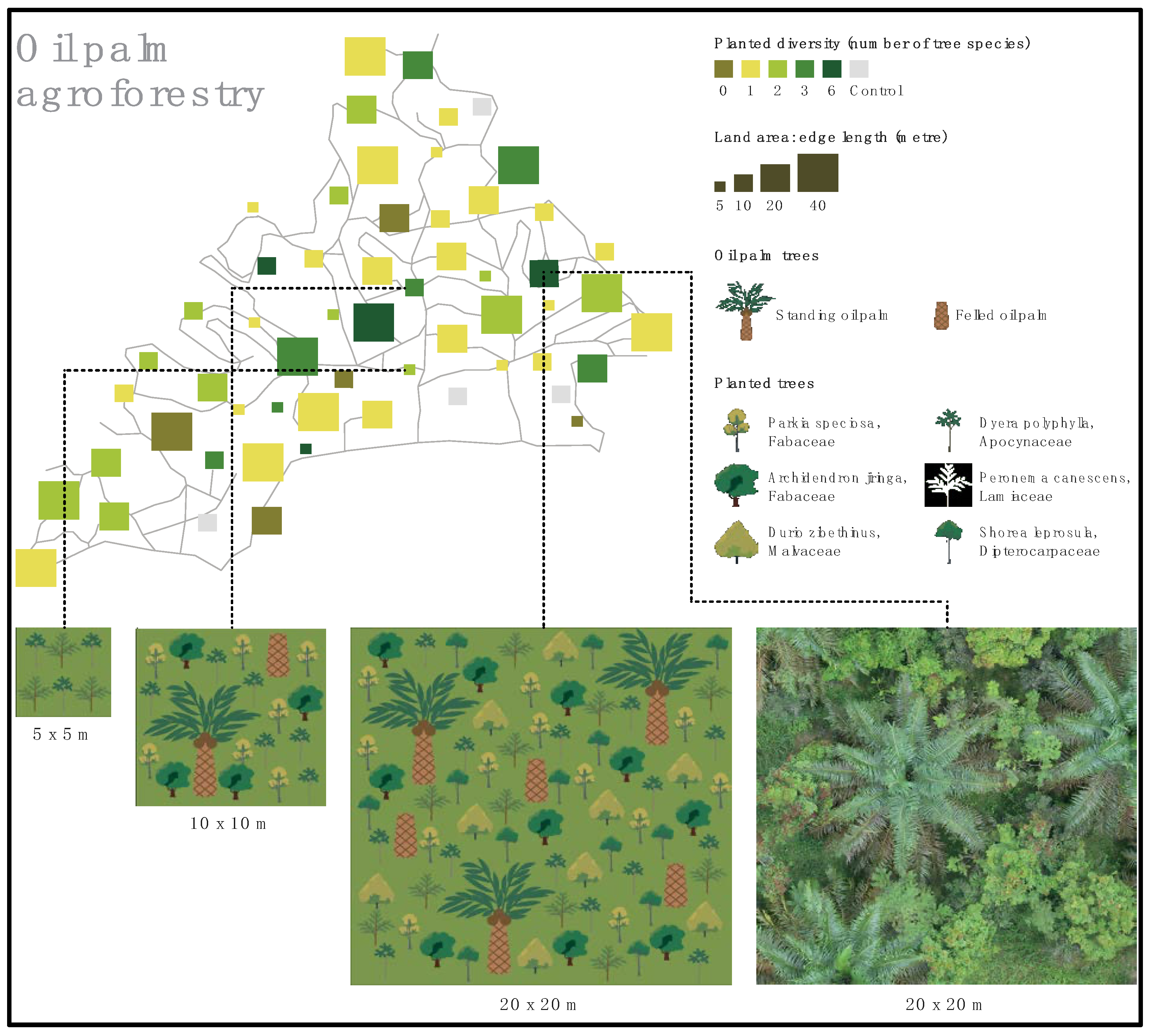 Agronomy 15 01465 g004