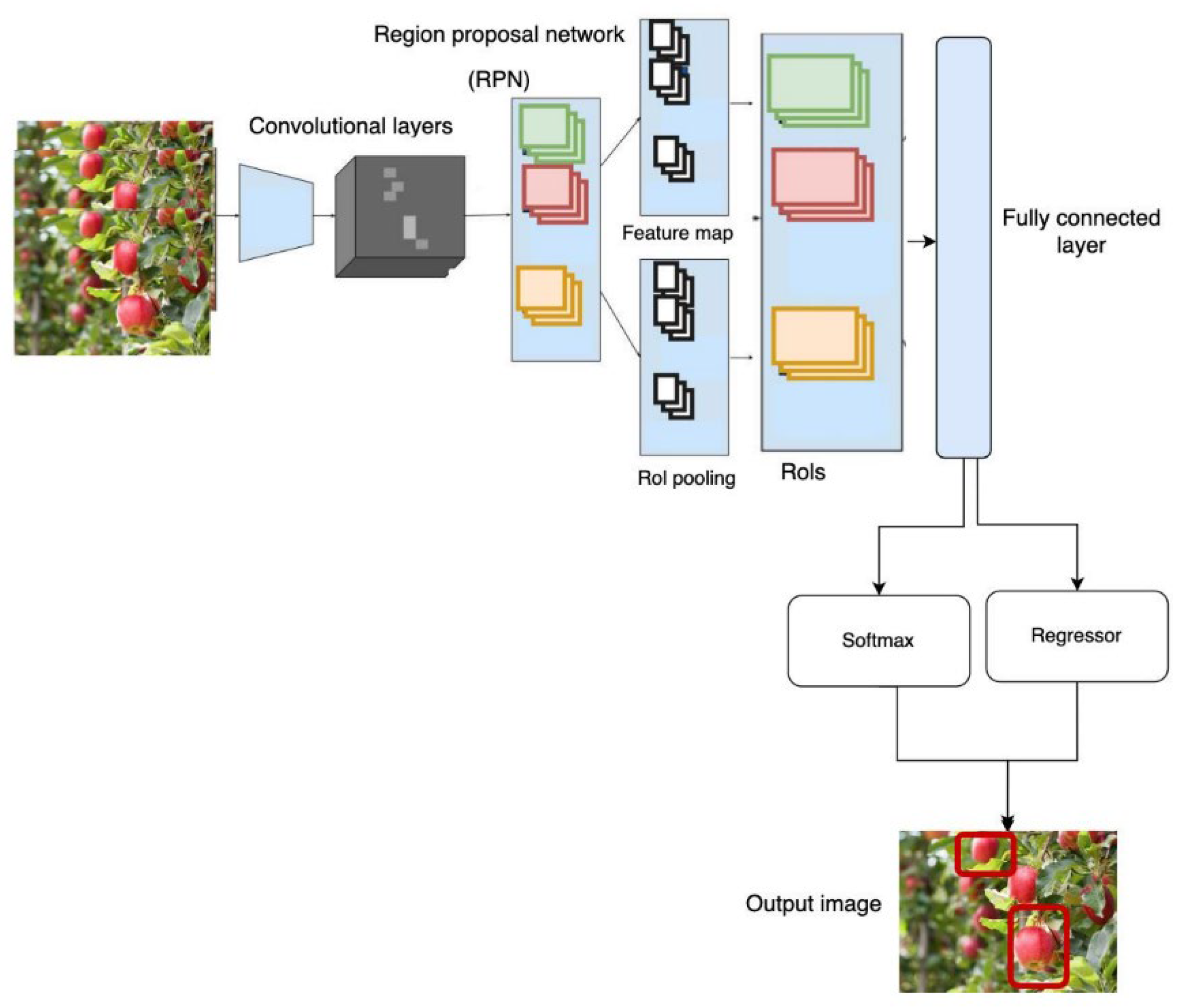 Agronomy 15 01471 g007