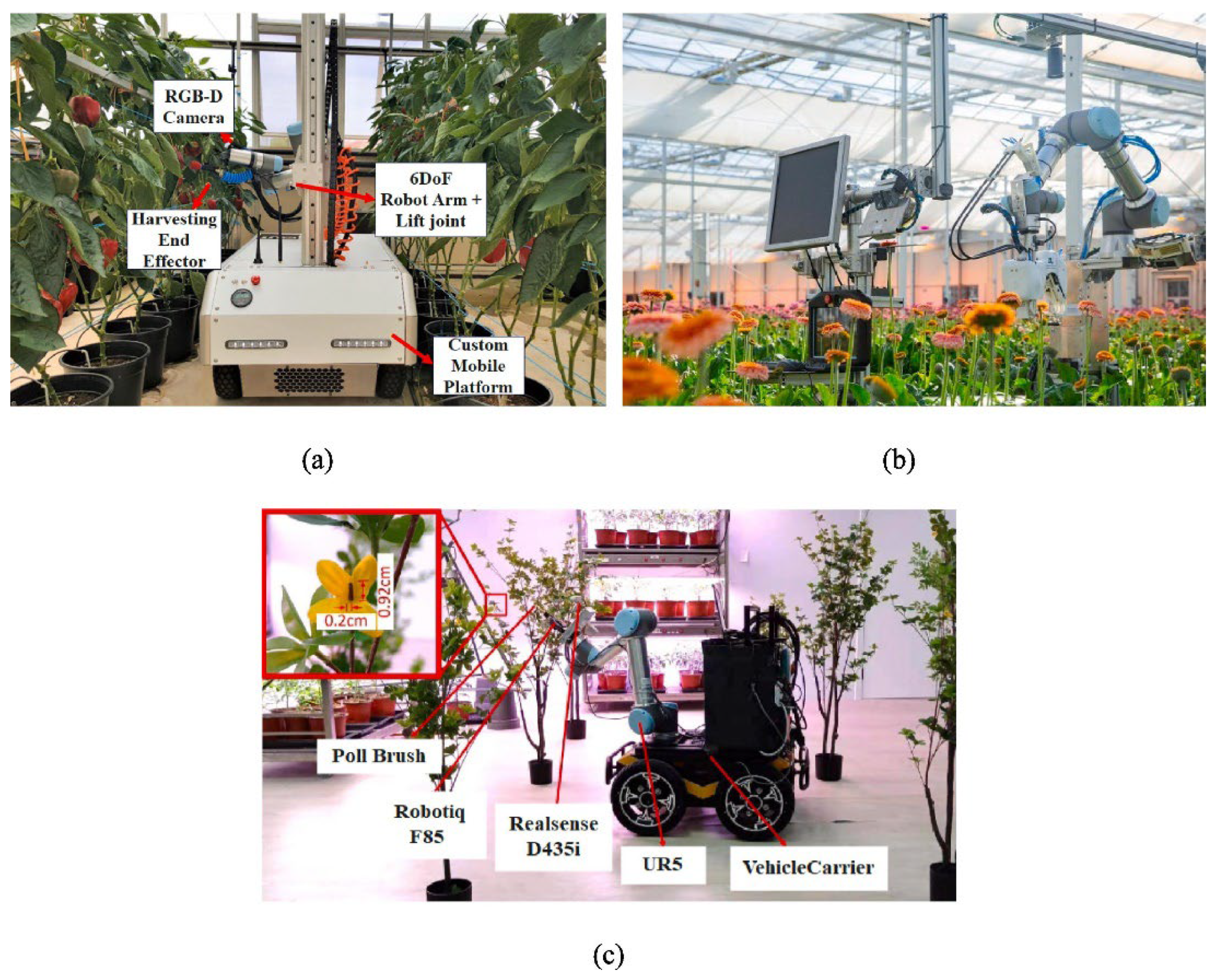 Agronomy 15 01471 g011