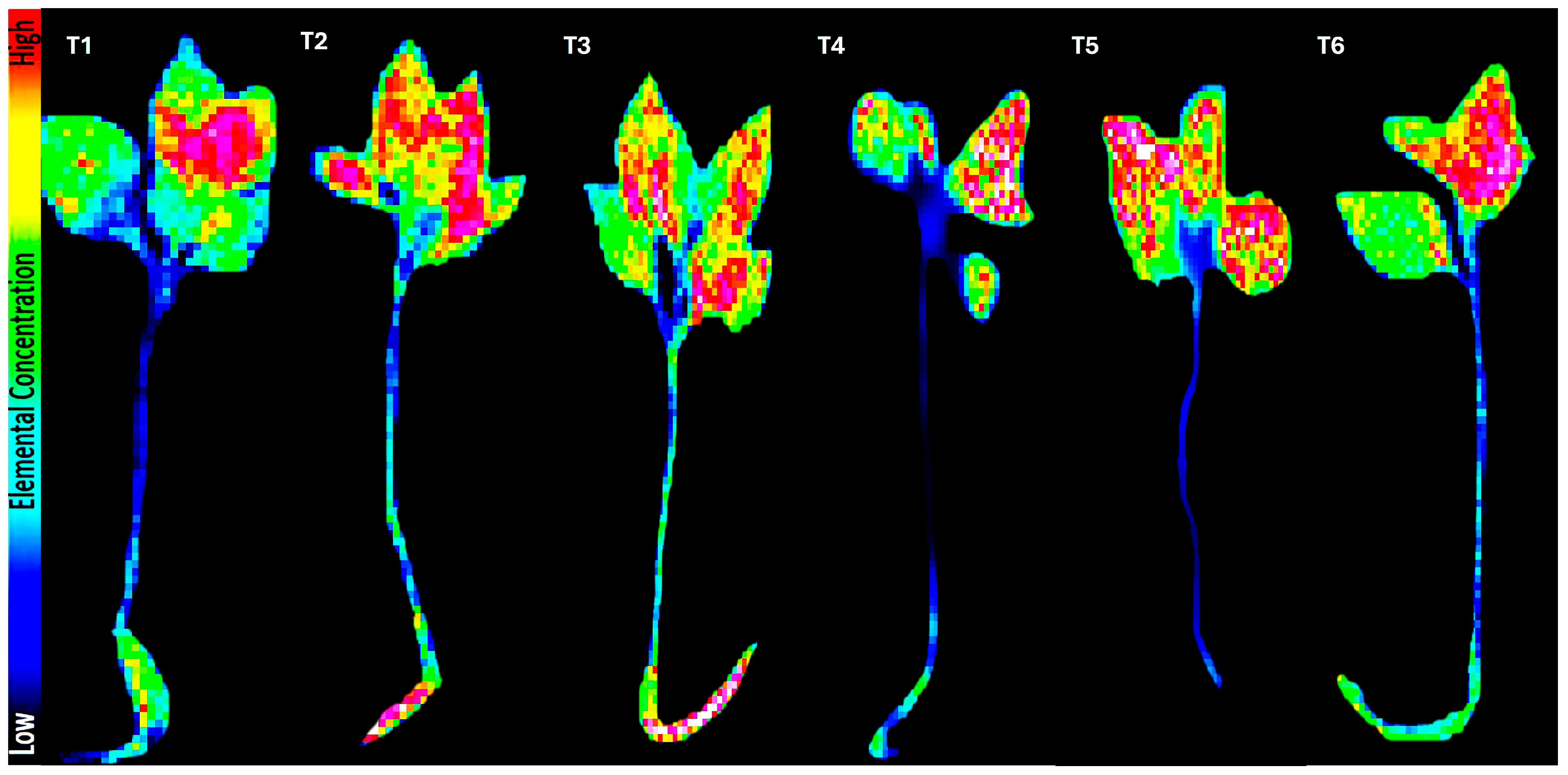 Agronomy 15 01473 g001