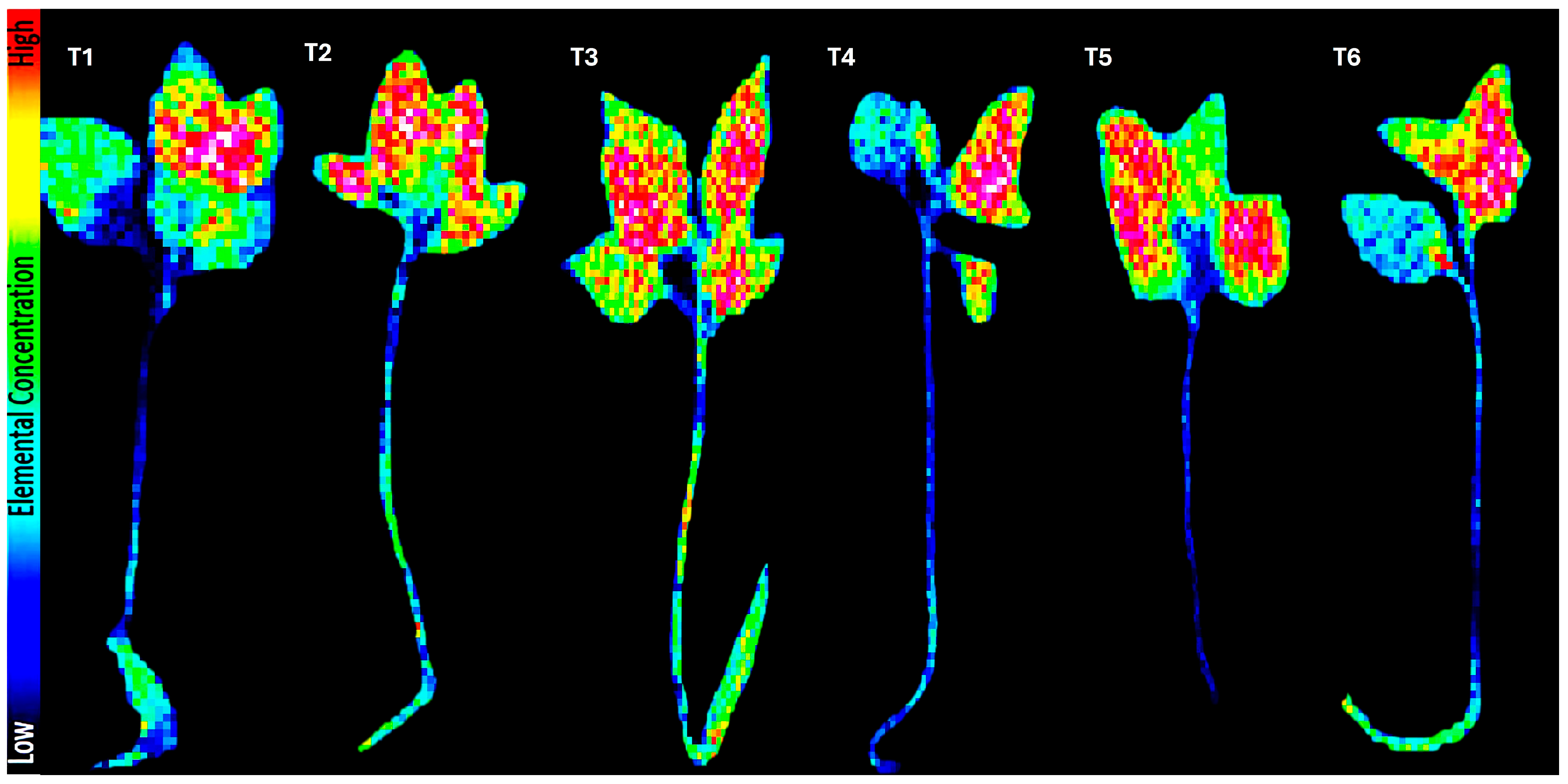 Agronomy 15 01473 g004