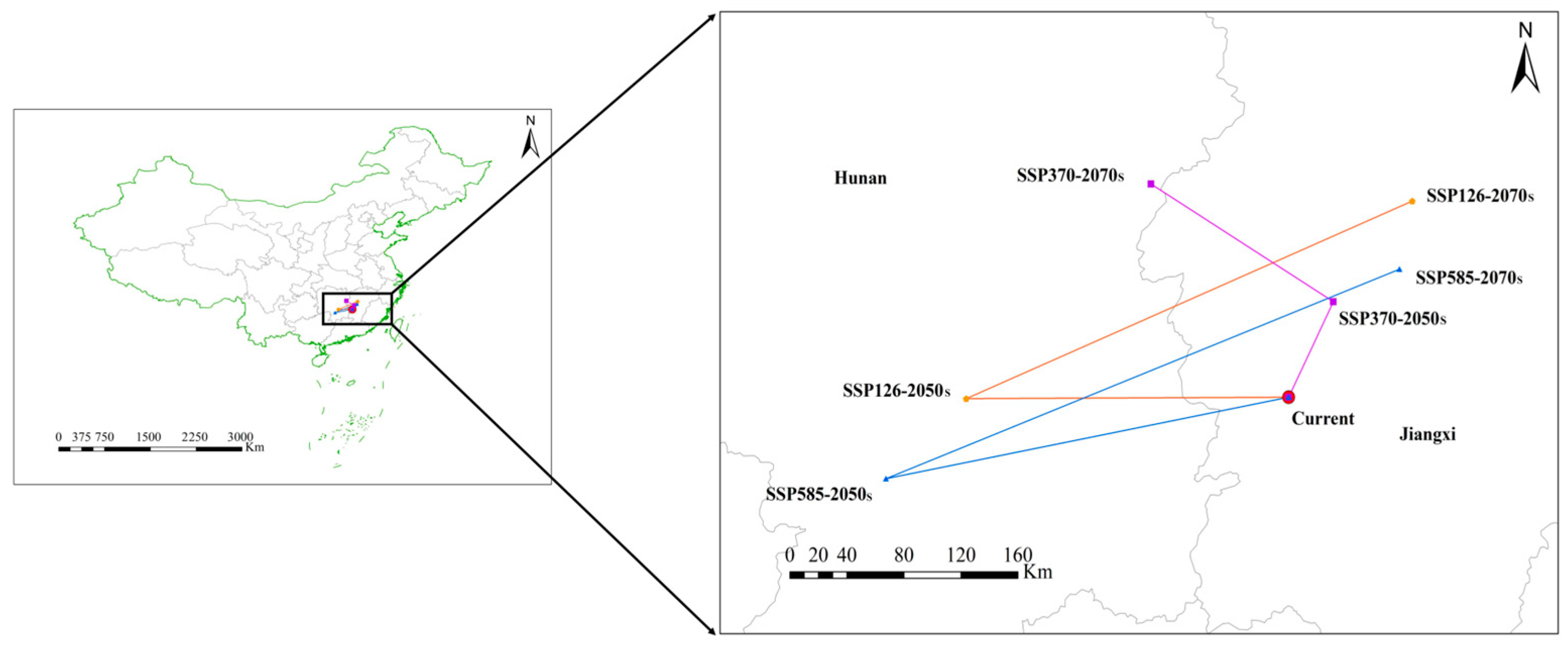 Agronomy 15 01474 g007