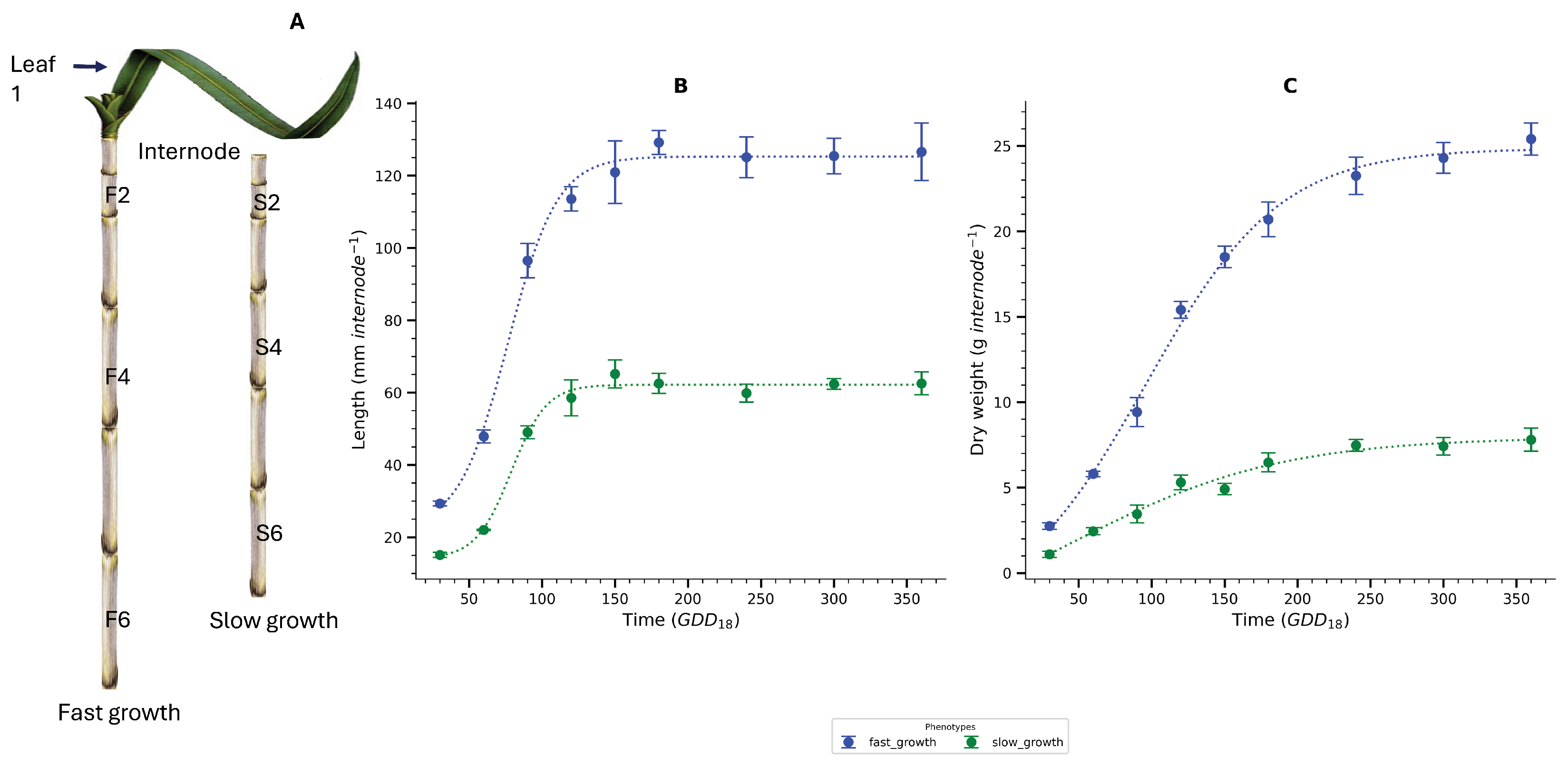 Agronomy 15 01475 g001