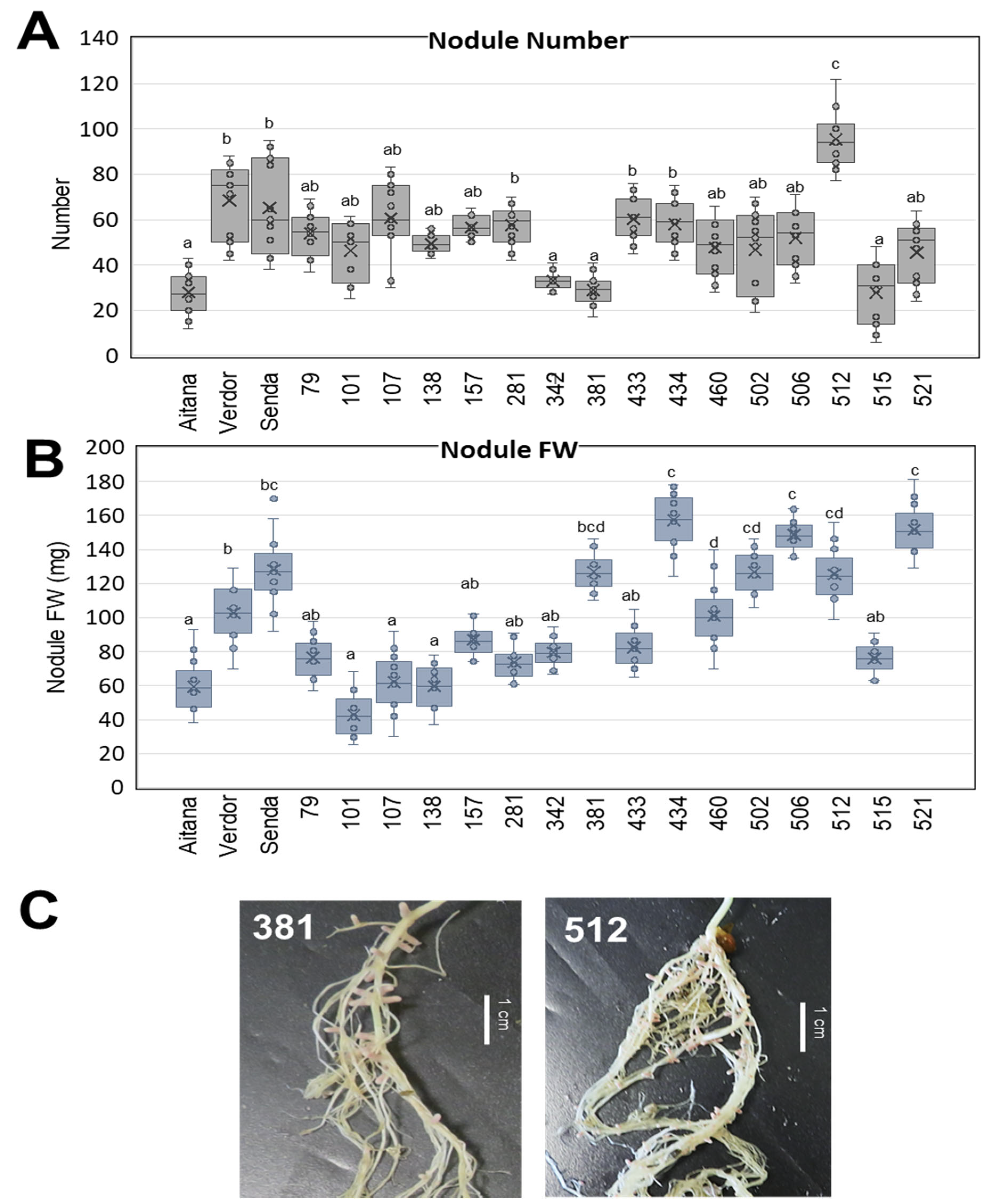 Agronomy 15 01479 g001
