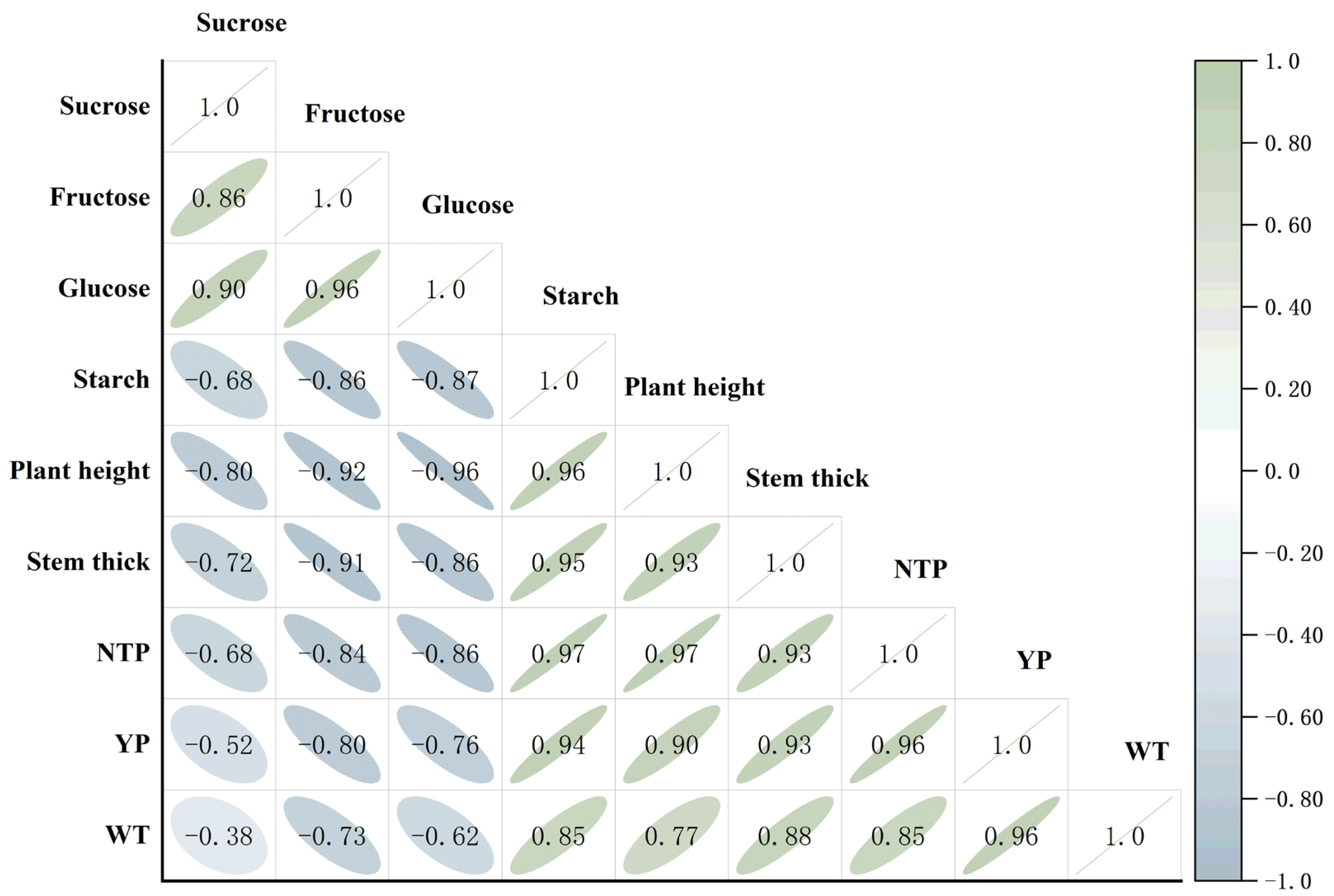 Agronomy 15 01481 g004