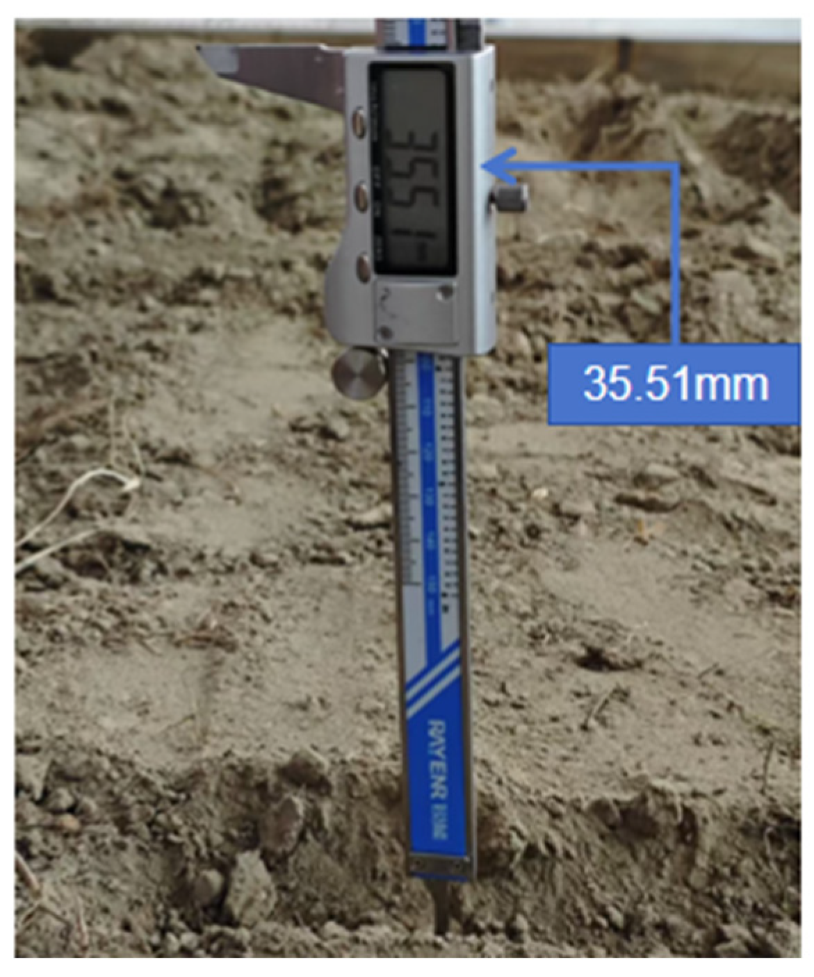 Agronomy 15 01490 g017
