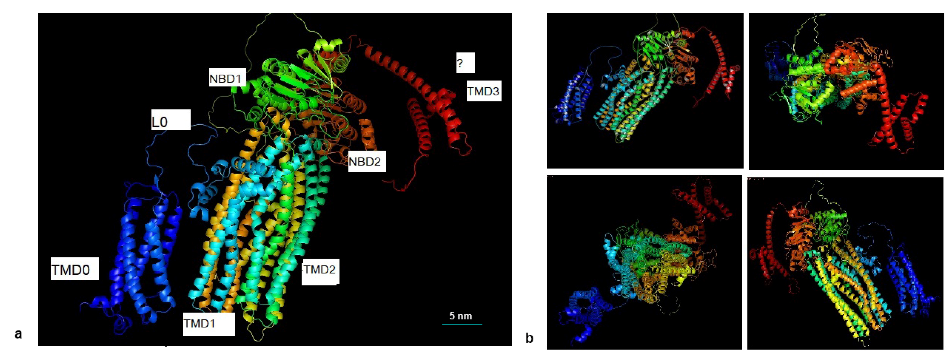 Agronomy 15 01493 g002