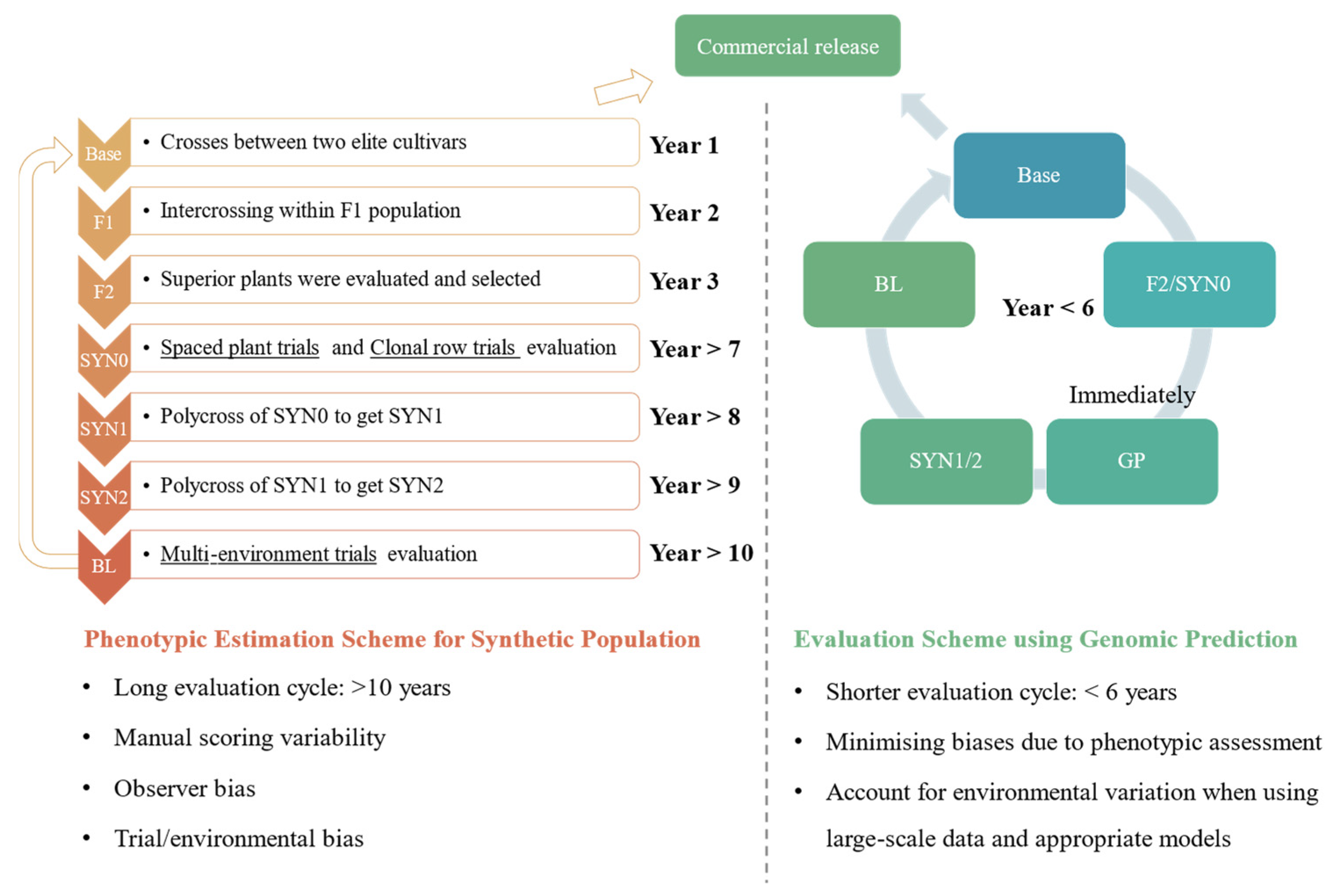 Agronomy 15 01494 g001 Agronomy 15 01494 g001