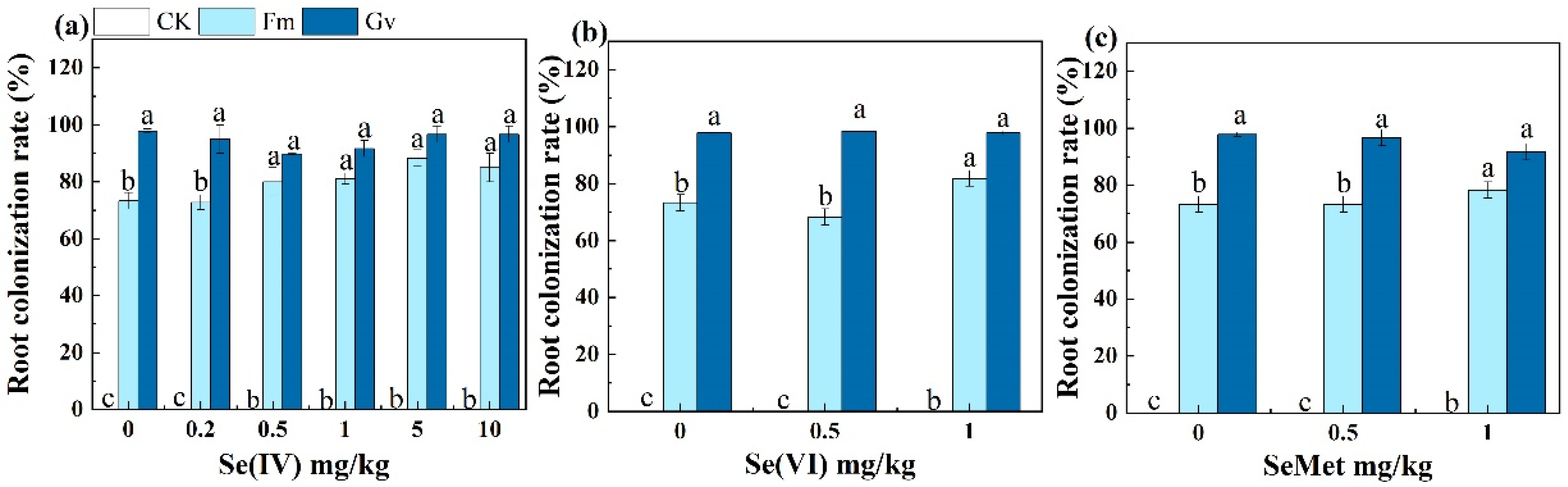 Agronomy 15 01498 g001