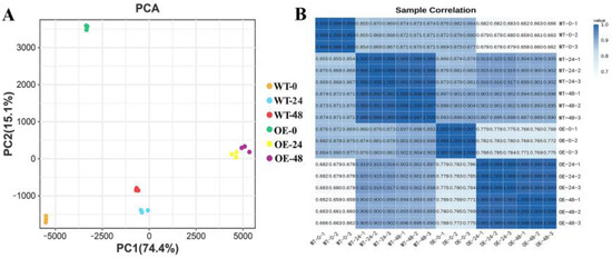 サンプル The Alleviating Effect of Brassinosteroids on Cadmium Stress in