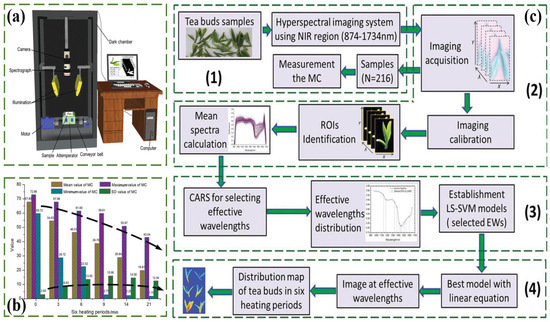 Recent Advances and Applications of Imaging and Spectroscopy
