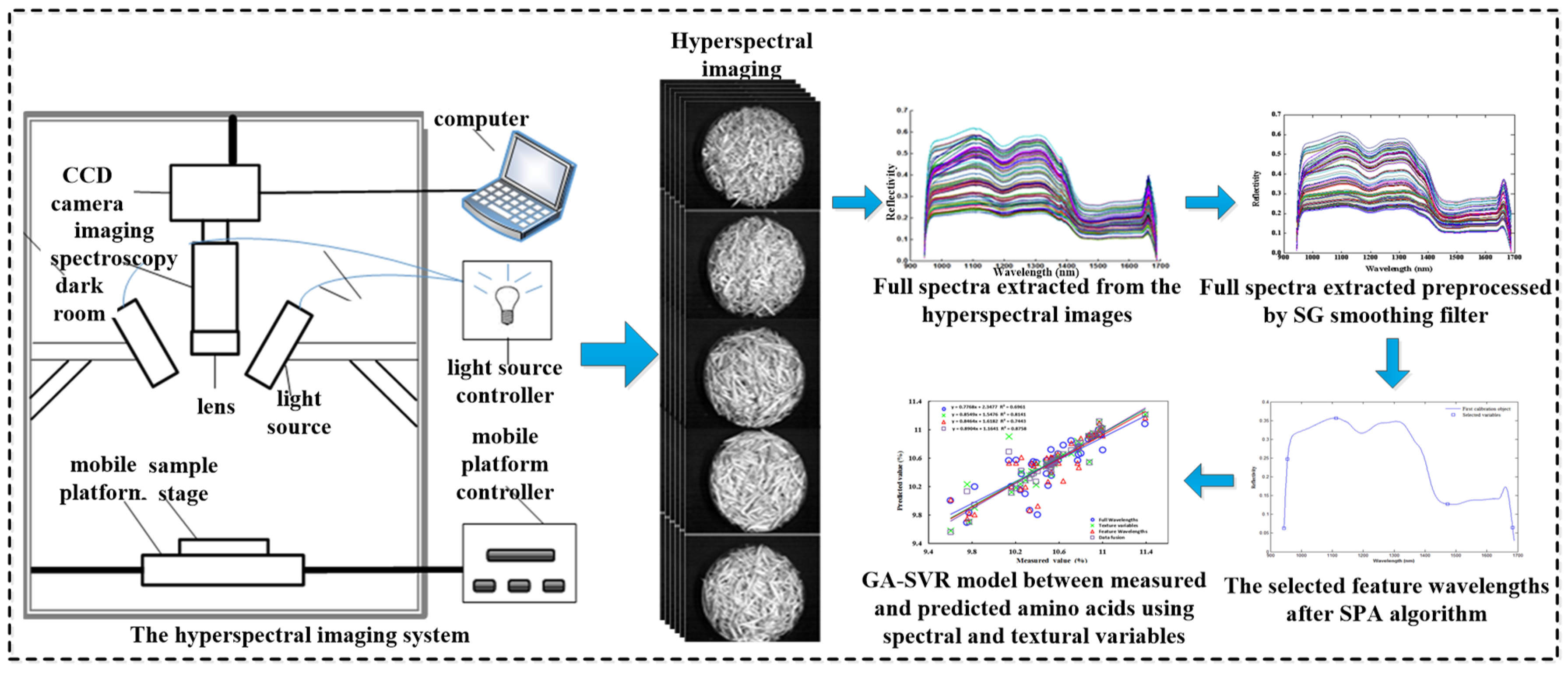Agronomy 15 01507 g005
