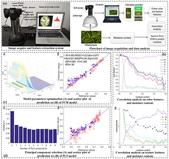 Recent Advances and Applications of Imaging and Spectroscopy