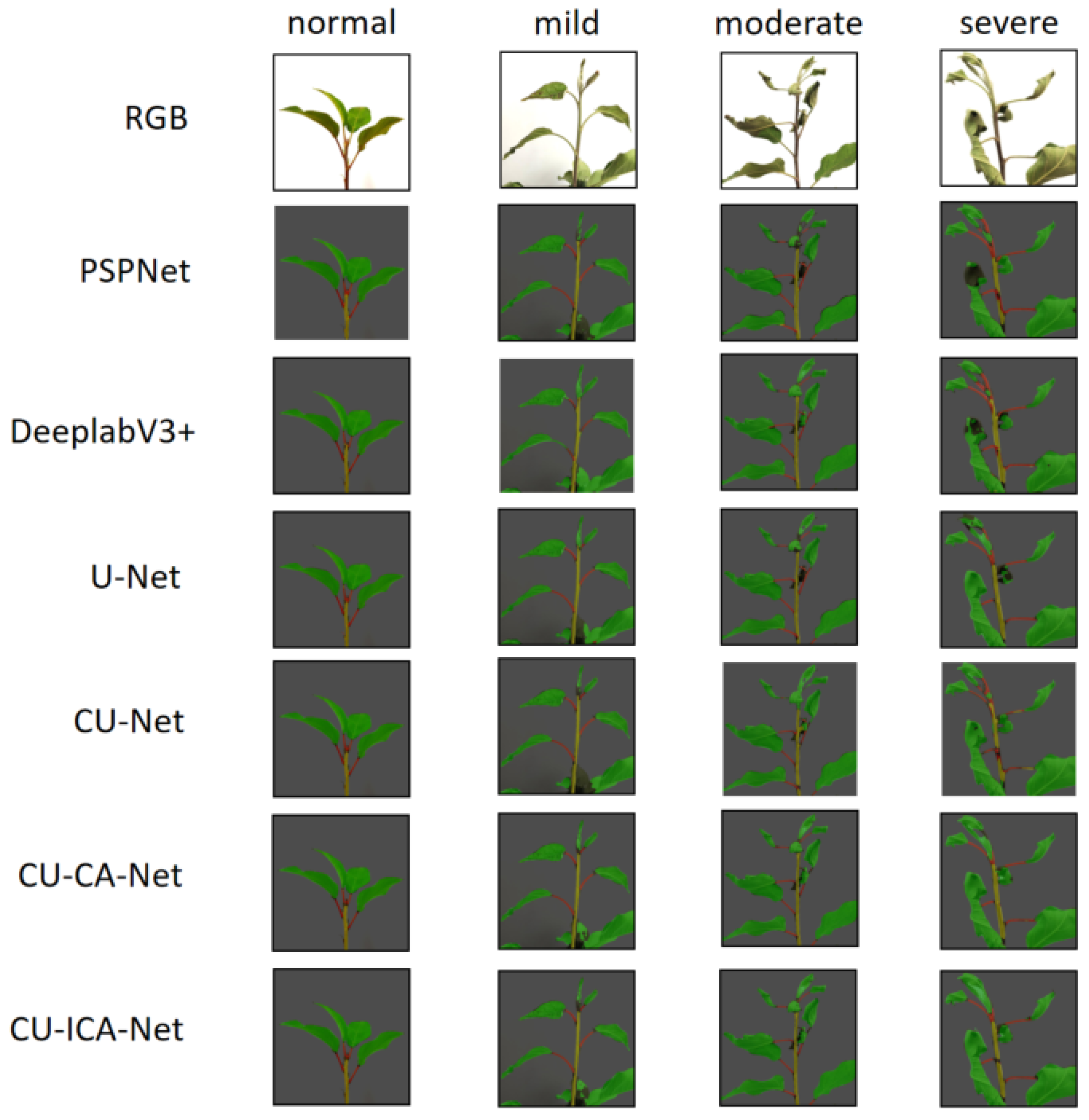 Agronomy 15 01508 g013