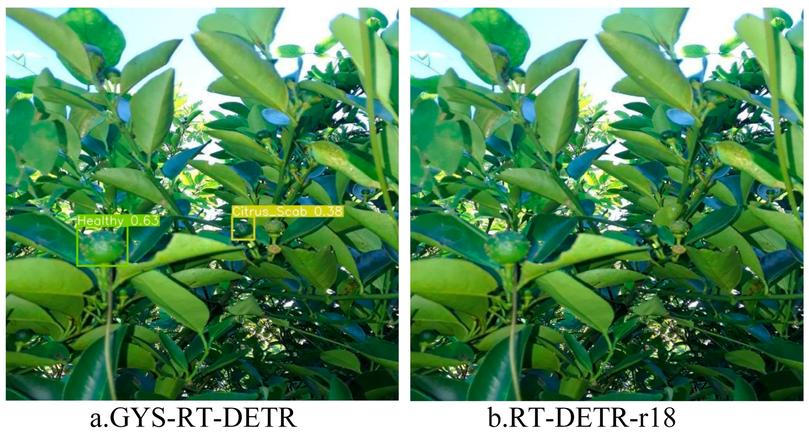 Agronomy 15 01515 g008